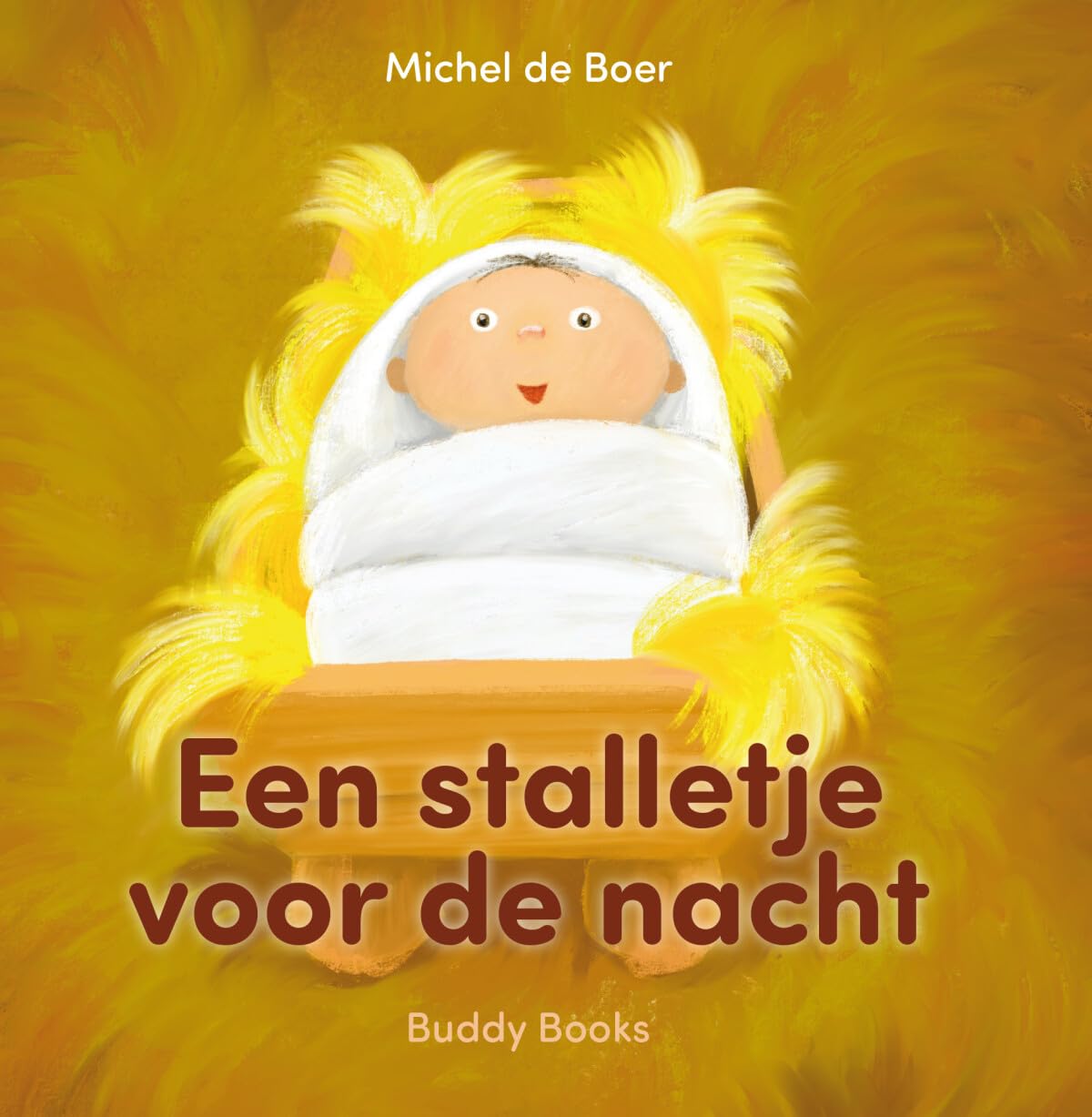 Een stalletje voor de nacht book