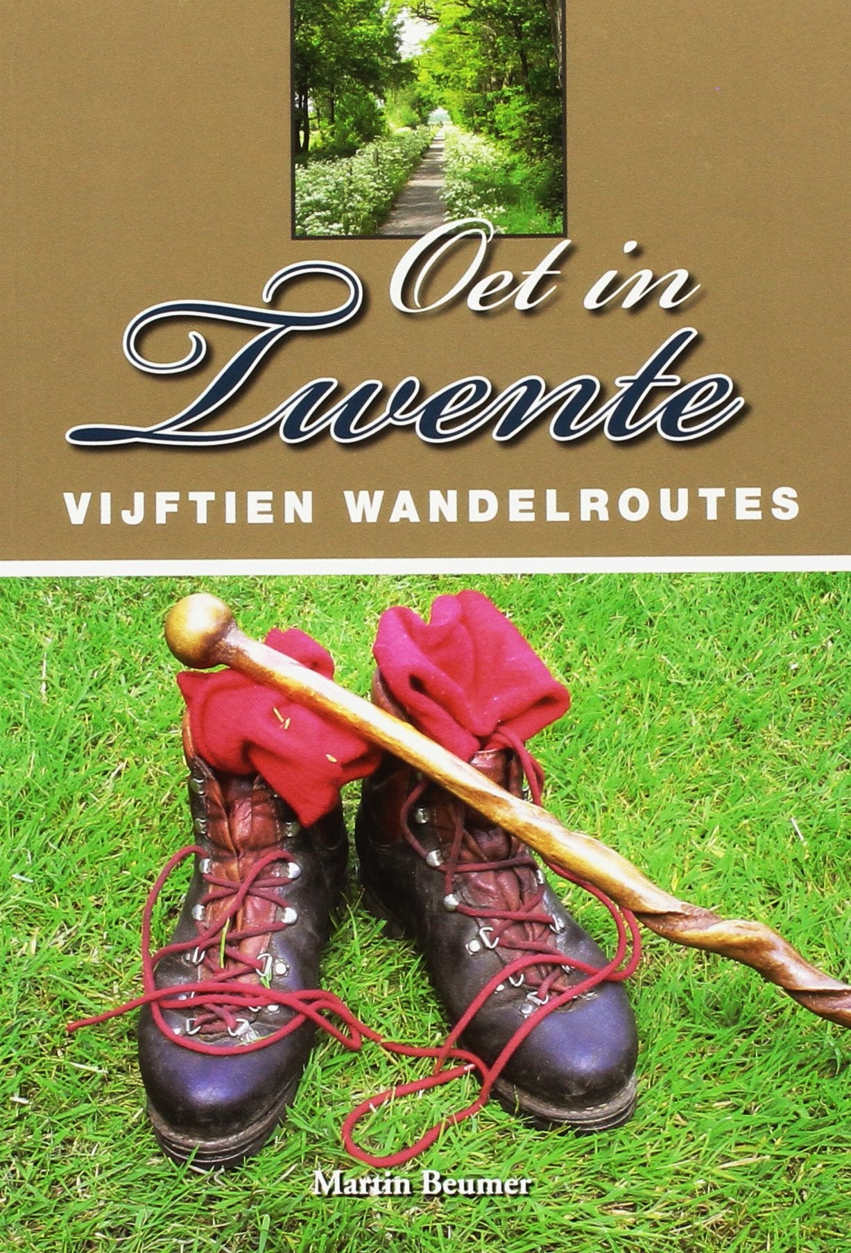 Oet in Twente: vijftien wandelroutes book