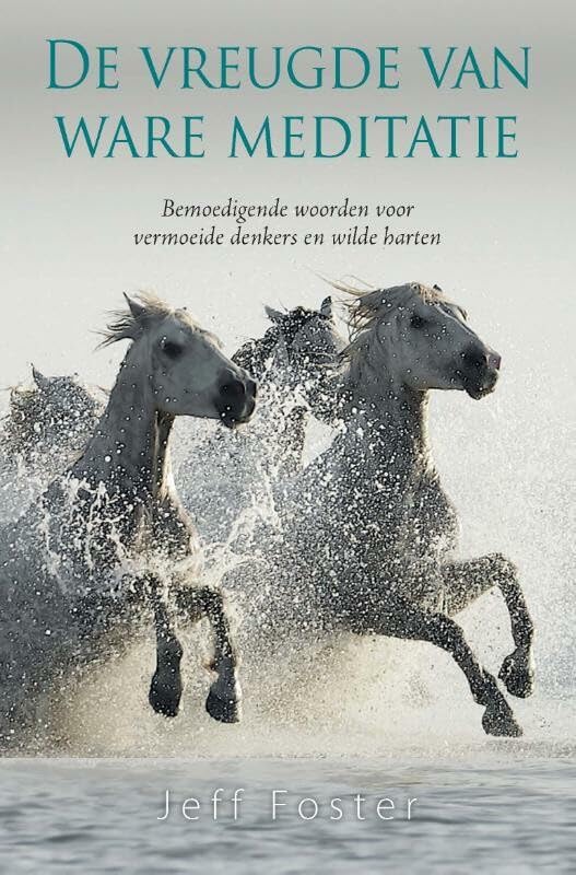 De vreugde van ware meditatie: bemoedigende woorden voor vermoeide denkers en wilde harten book