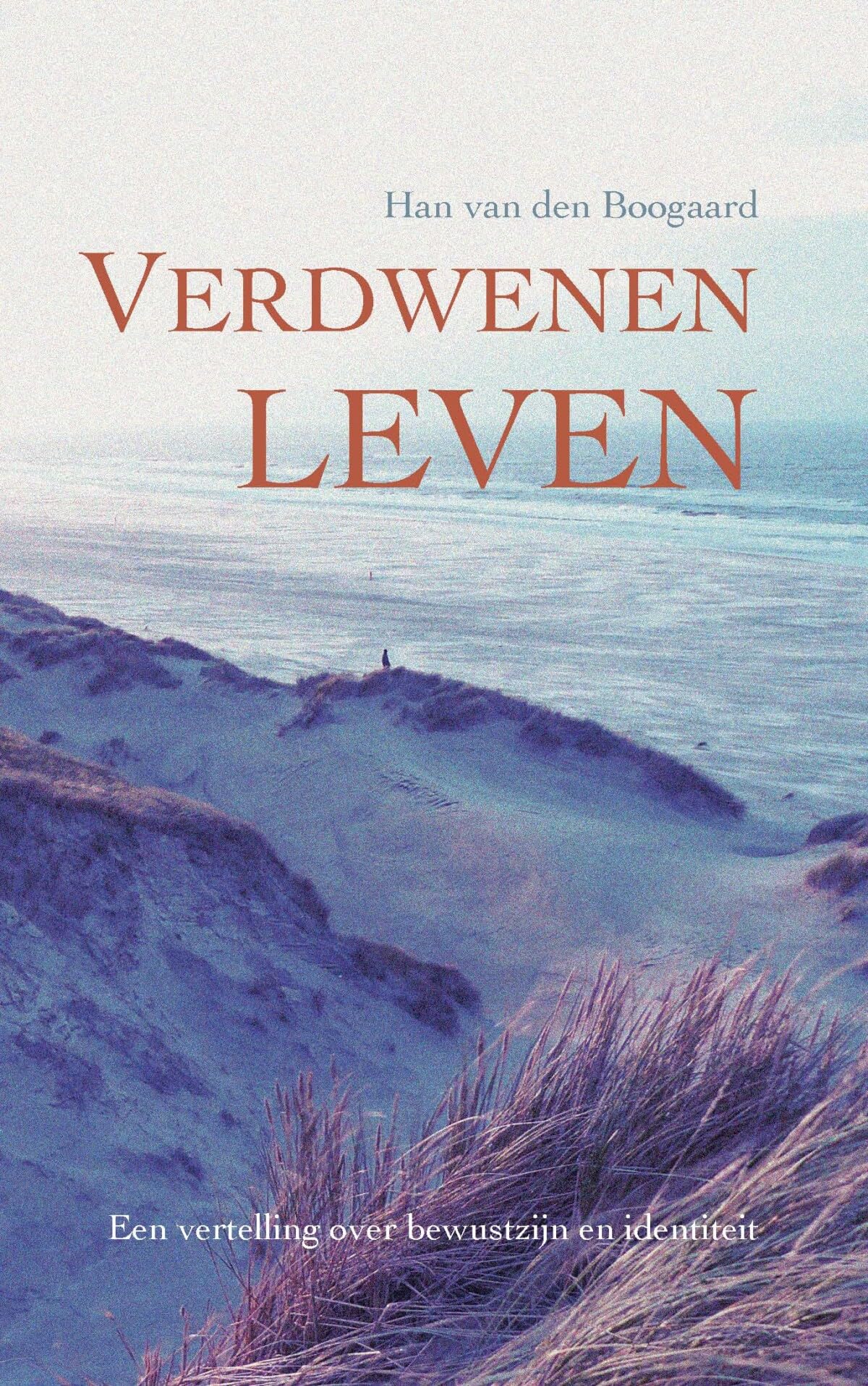 Verdwenen leven: een vertelling over bewustzijn en identiteit Religion & Esotericism