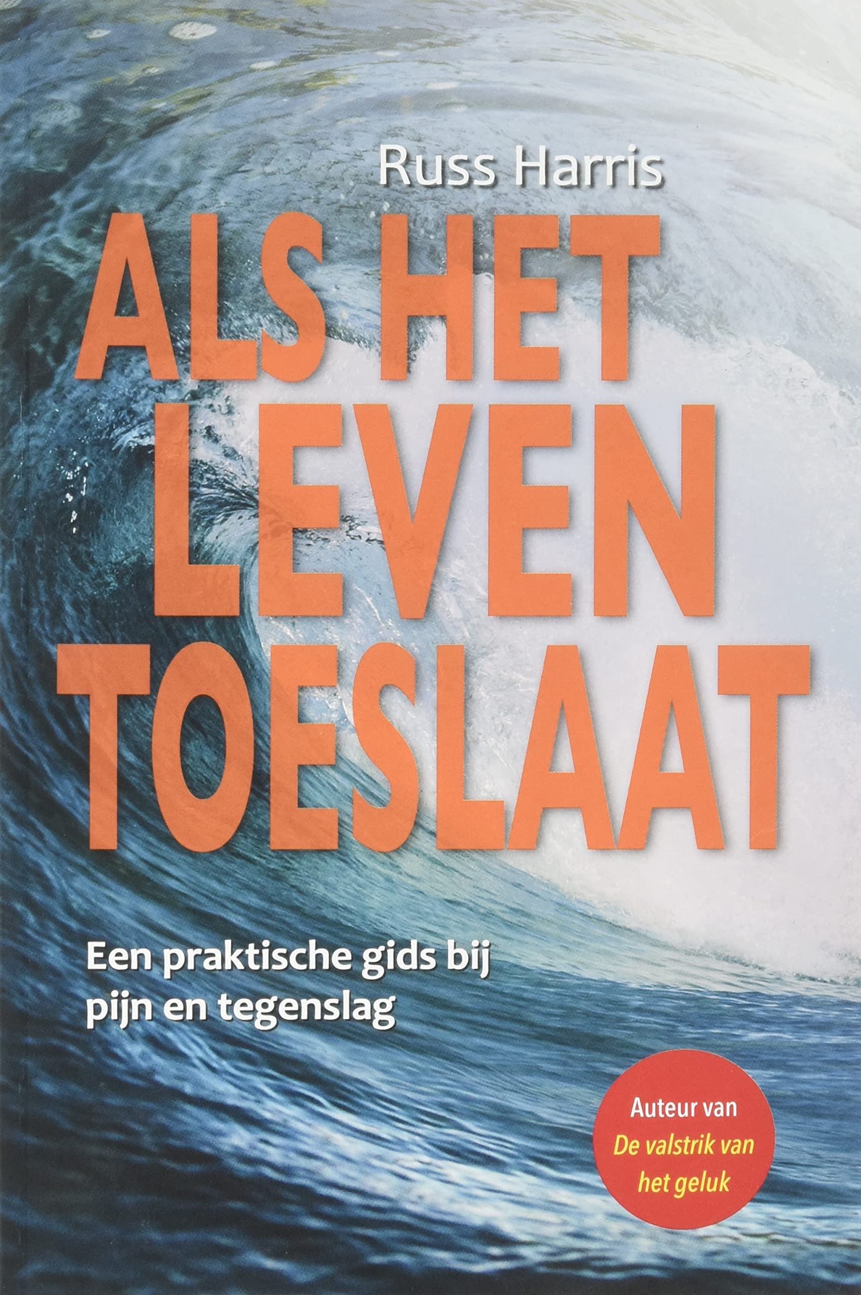 Als het leven toeslaat: een praktische gids bij pijn en tegenslag Business, Finance & Career