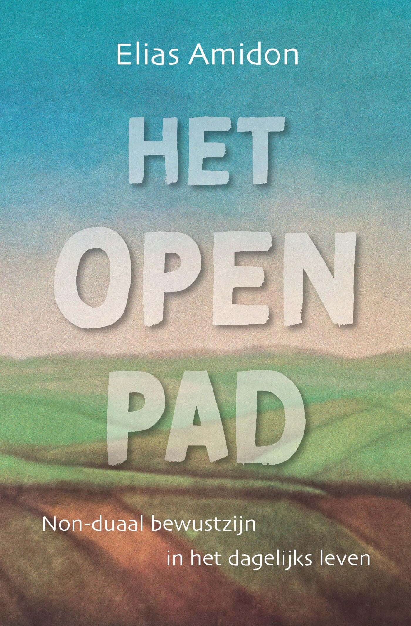 Het open pad: nonduaal bewustzijn in het dagelijks leven Religion & Esotericism