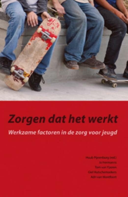 Zorgen dat het werkt: werkzame factoren in de zorg voor jeugd book
