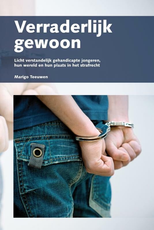 Verraderlijk gewoon: licht verstandelijk gehandicapte jongeren, hun wereld en hun plaats in het strafrecht book
