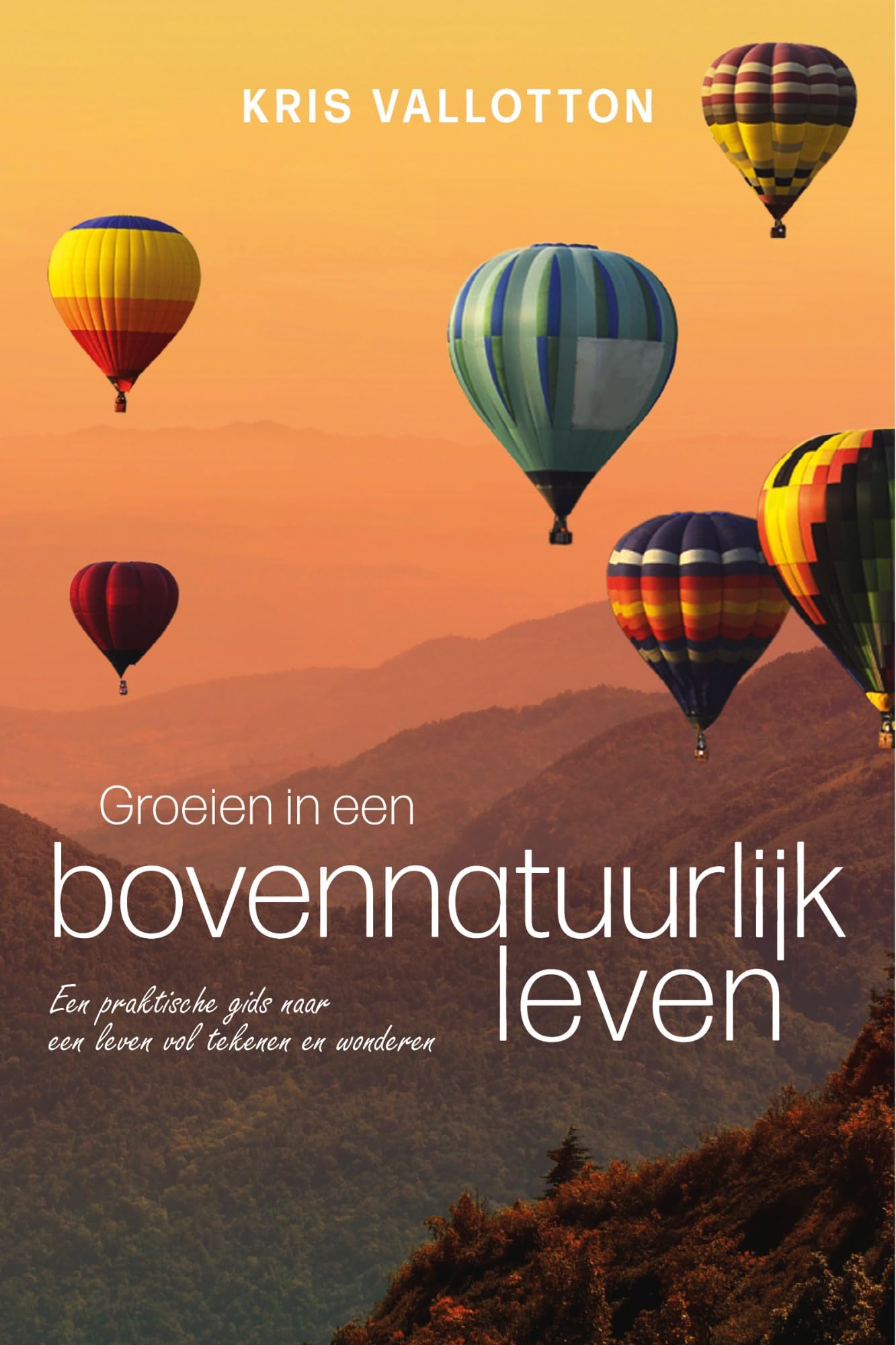 Groeien in een bovennatuurlijk leven: Een praktische gids voor een leven met wonderen en tekenen Religion & Esotericism