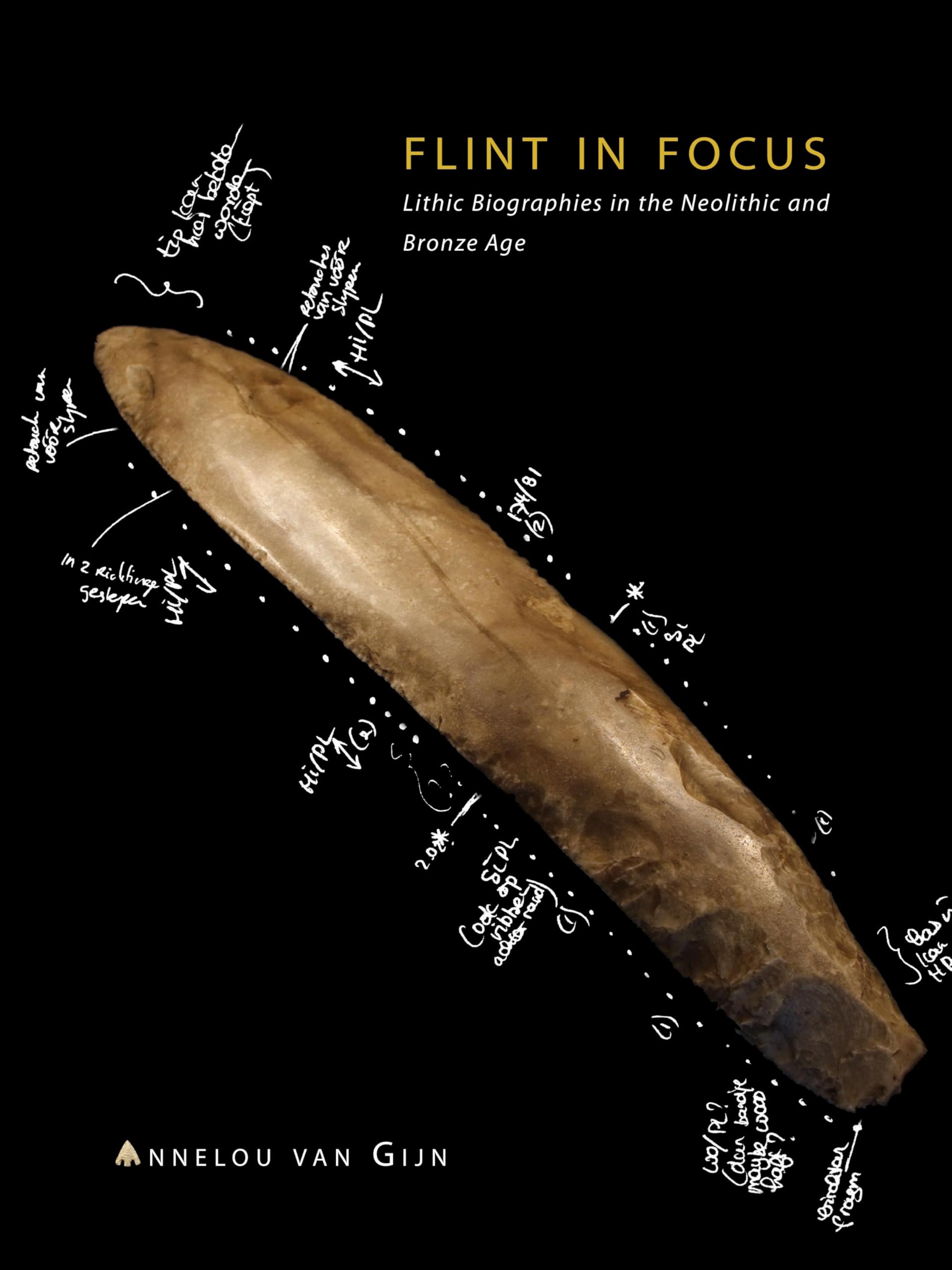 Flint in Focus: Lithic Biographies in the Neolithic and Bronze Age book