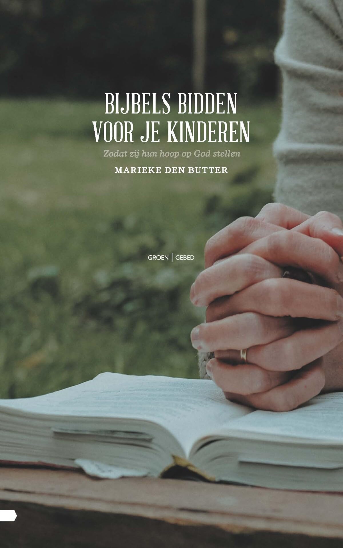 Bijbels bidden voor je kinderen: zodat zij hun hoop op God stellen book