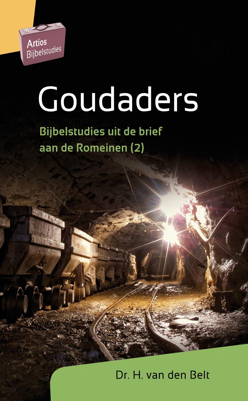 Goudaders: Bijbelstudies uit de brief aan de Romeinen (2) book