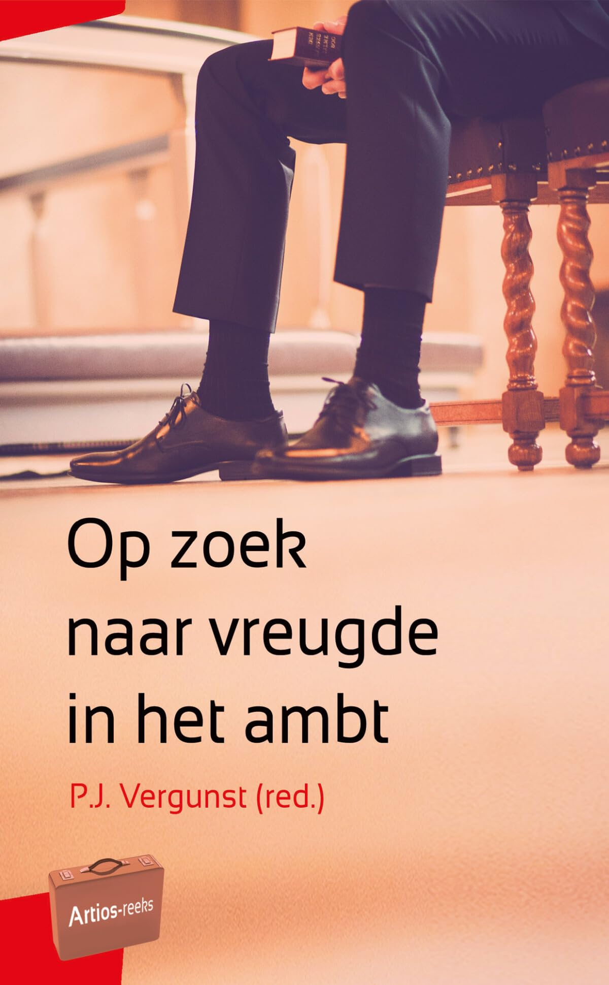 Op zoek naar vreugde in het ambt book