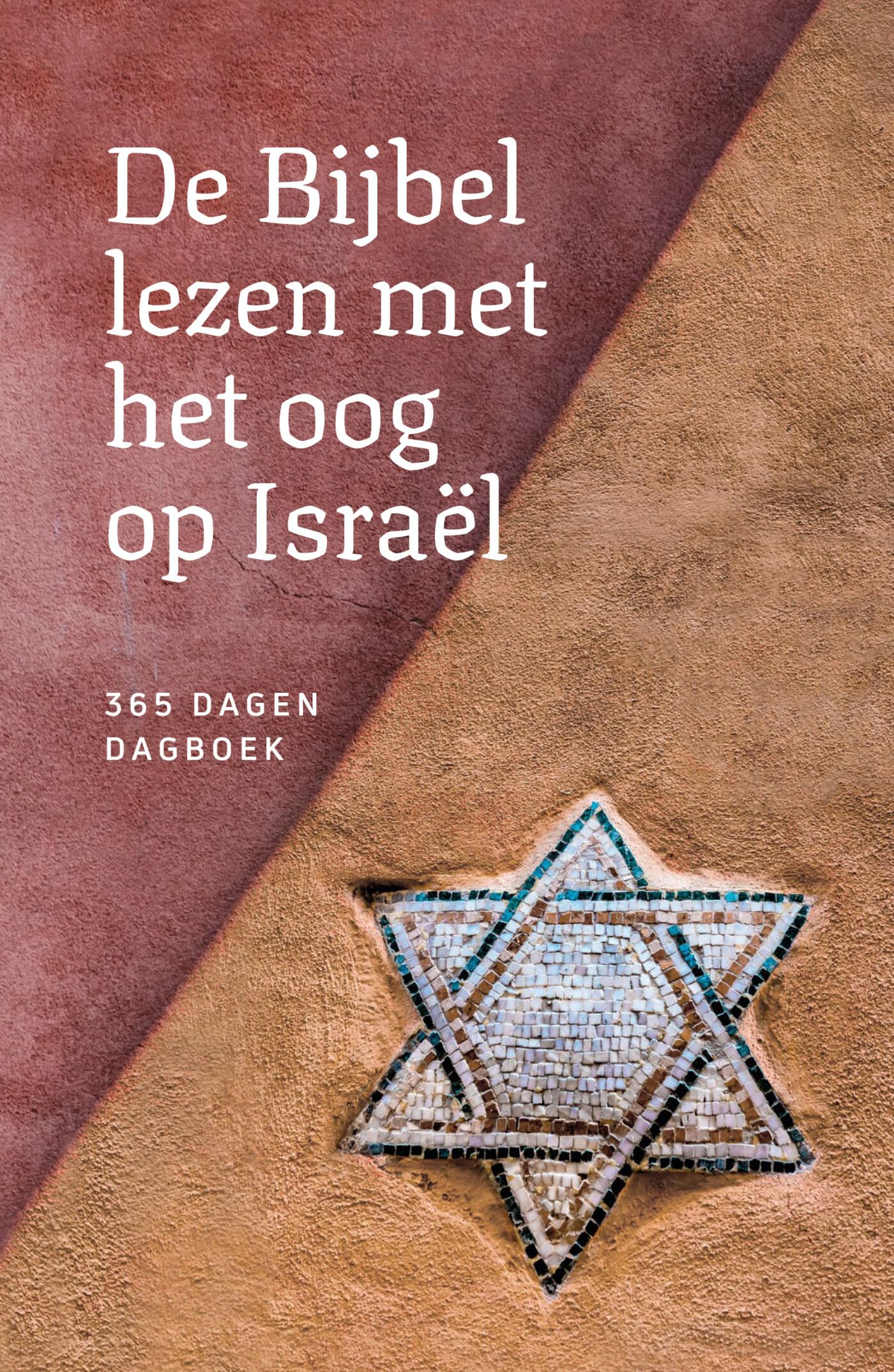De Bijbel lezen met het oog op Israël: 365 dagen dagboek book