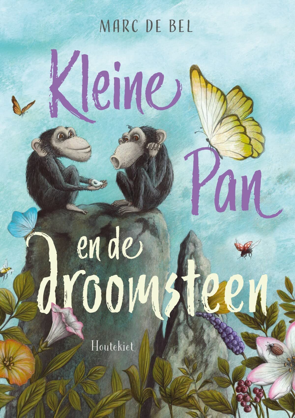 Kleine Pan en de droomsteen (Kleine Pan, 2) Novels & Short Stories