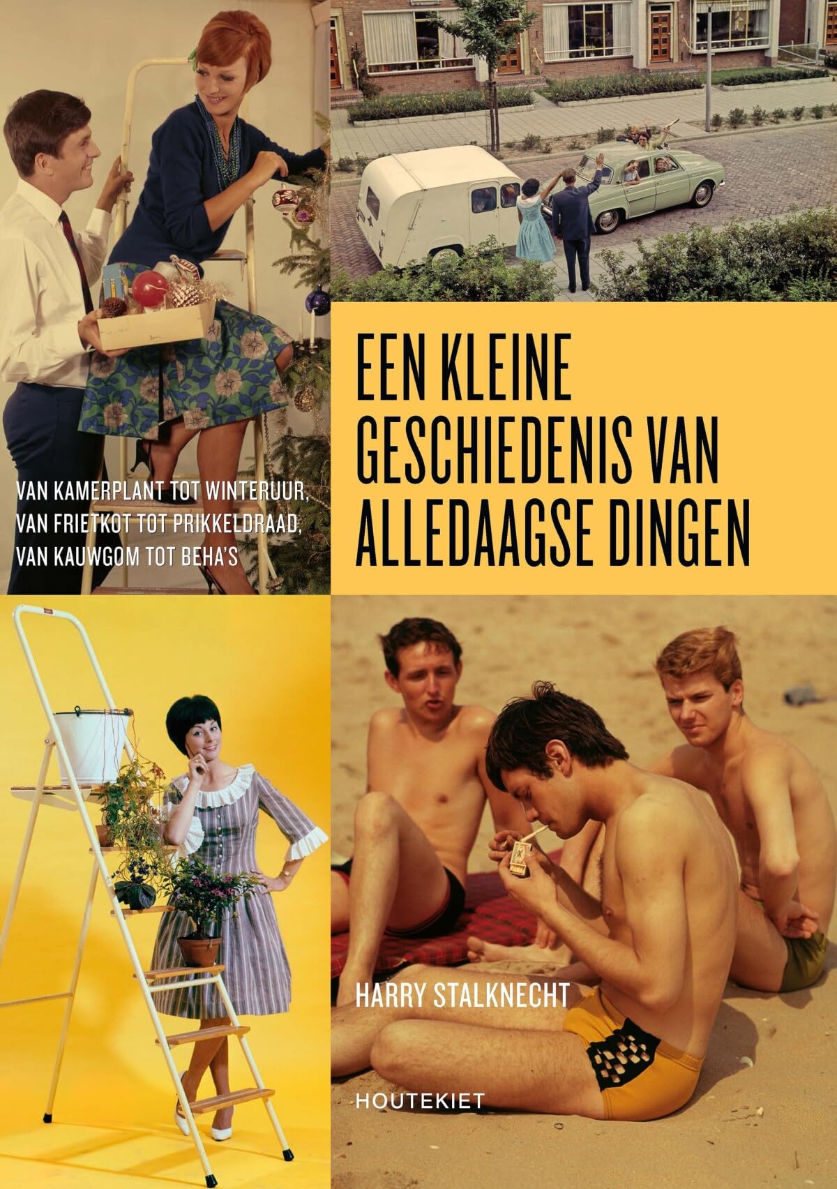 Een kleine geschiedenis van alledaagse dingen: Van kamerplant tot winteruur, van frietkot tot prikkeldraad, van kauwgom tot beha's en alles daartussenin book