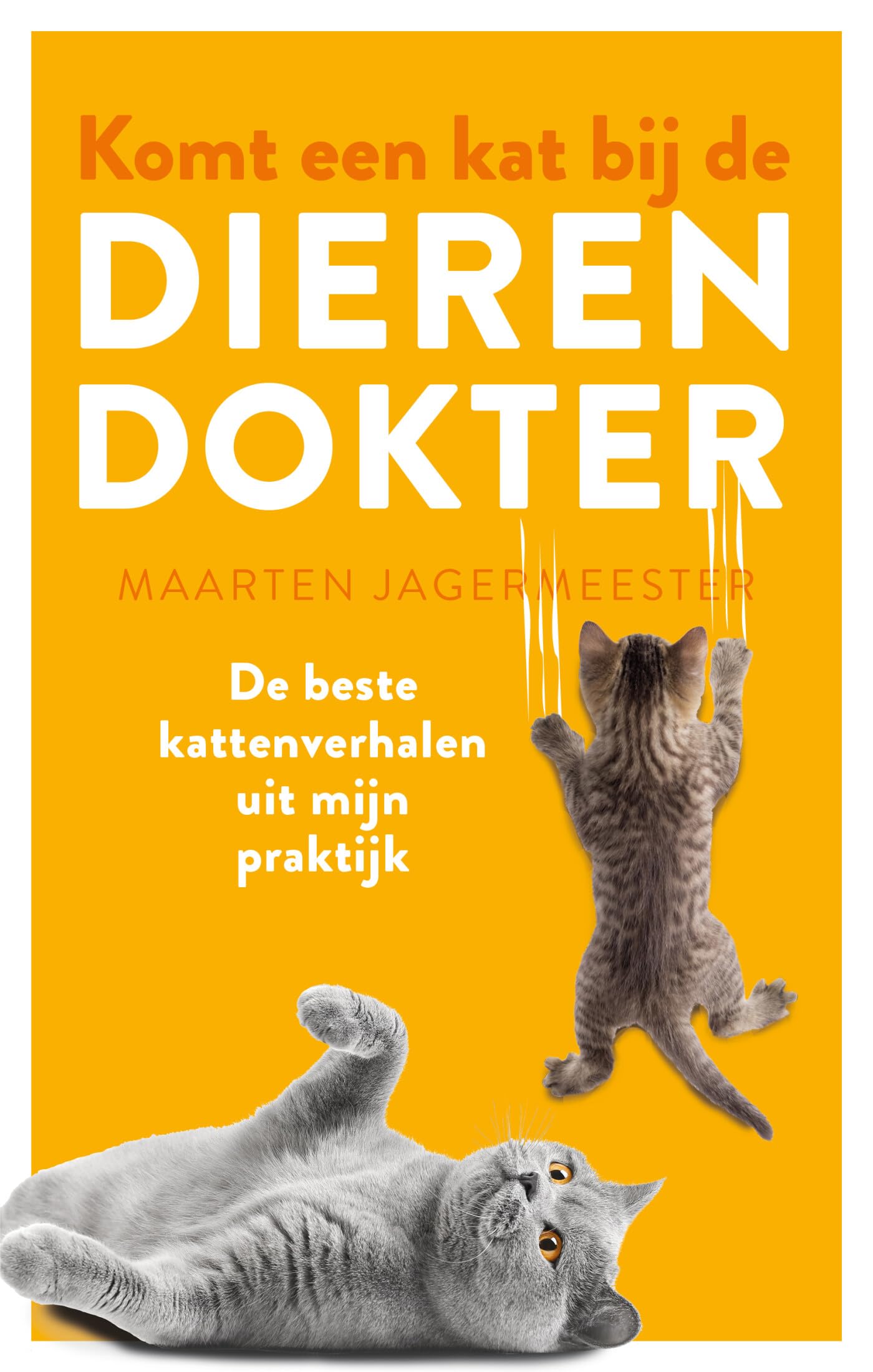 Komt een kat bij de dierendokter: de beste kattenverhalen uit mijn praktijk book