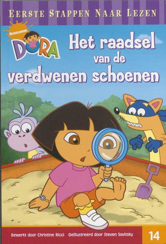 Het raadsel van de verdwenen schoenen book