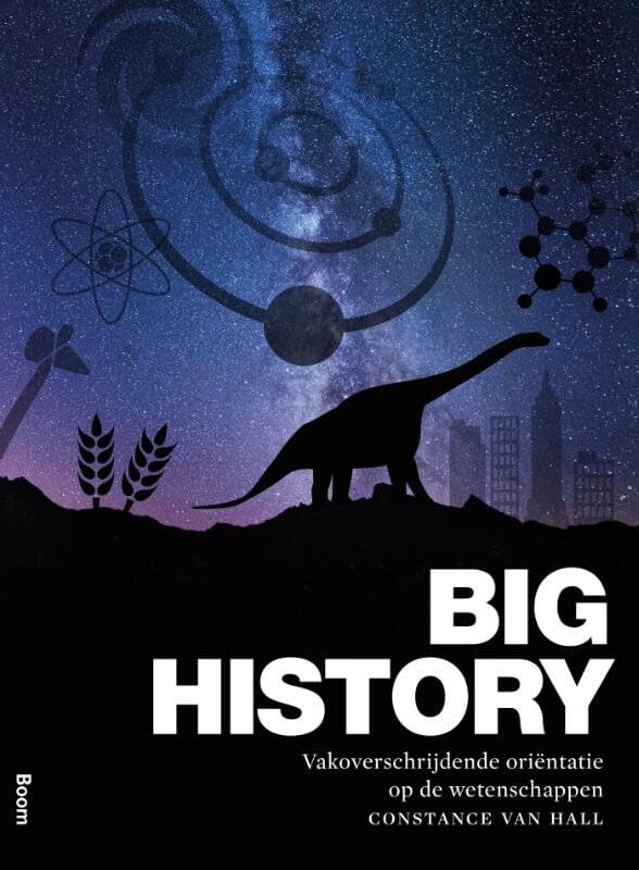 Big history: een vakoverschrijdende oriëntatie op de wetenschappen book