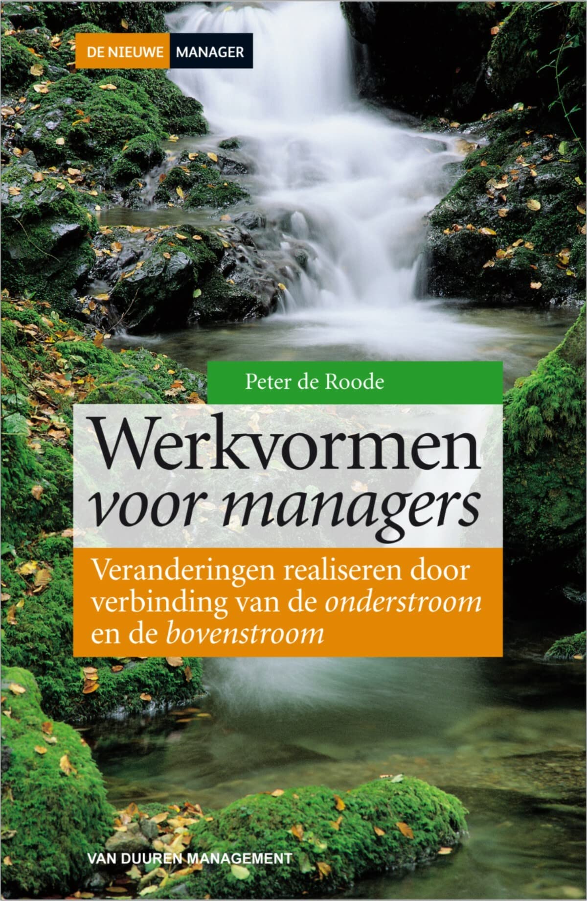 Werkvormen voor managers: Veranderingen realiseren door verbinding van de onderstroom en de bovenstroom book