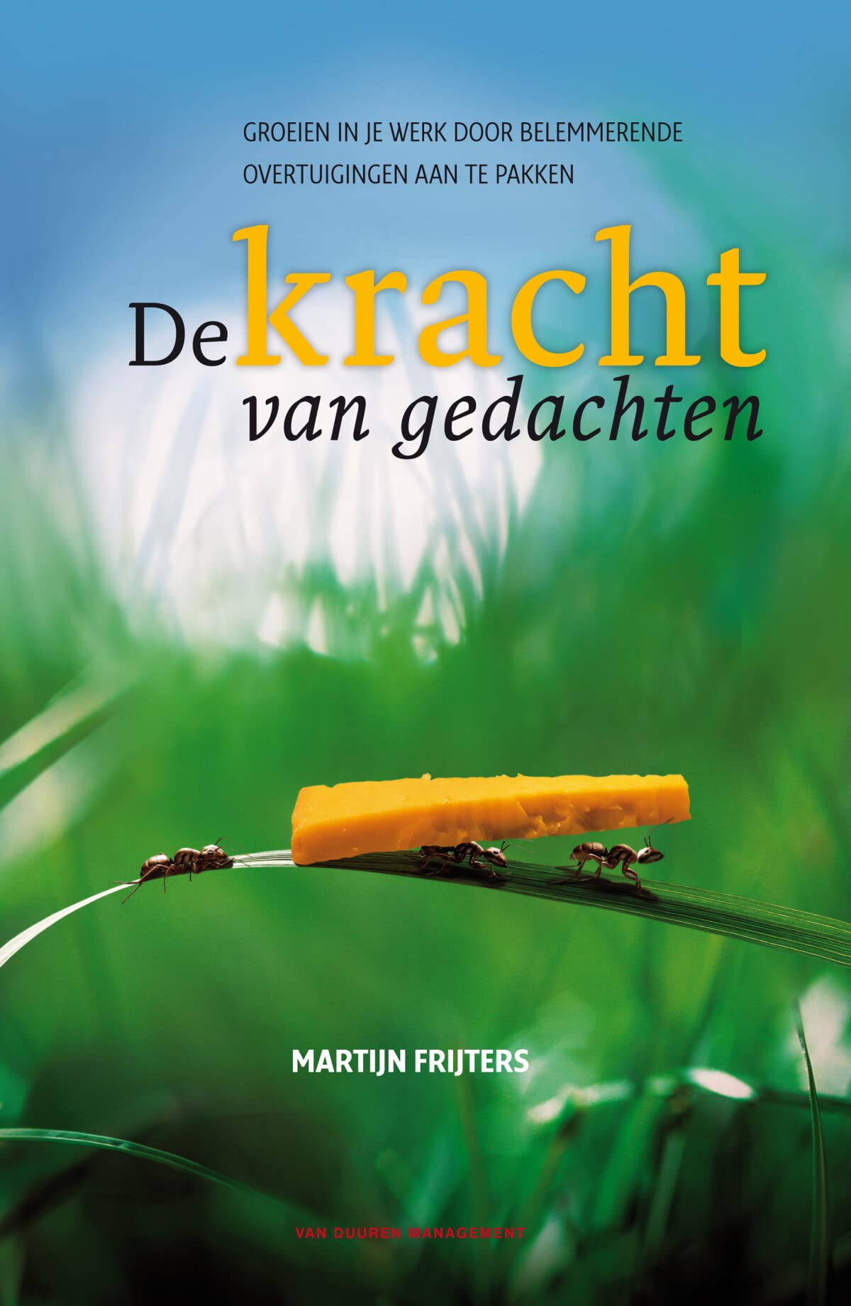 De kracht van gedachten: Groeien in je werk door beter om te gaan met belemmerende overtuigingen book