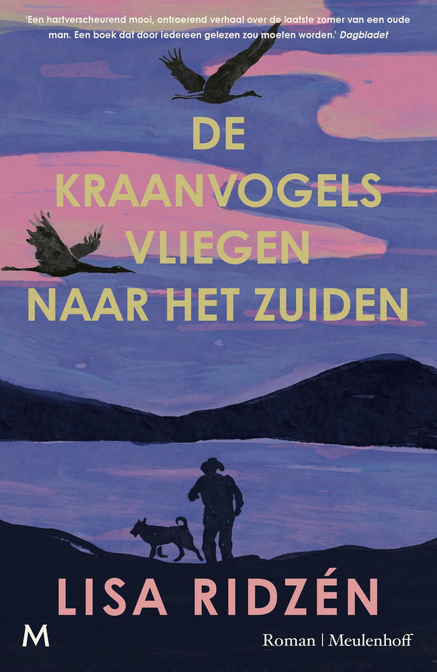 De kraanvogels vliegen naar het zuiden: roman book