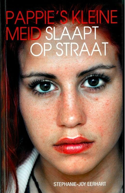 Pappies kleine meid slaapt op straat book