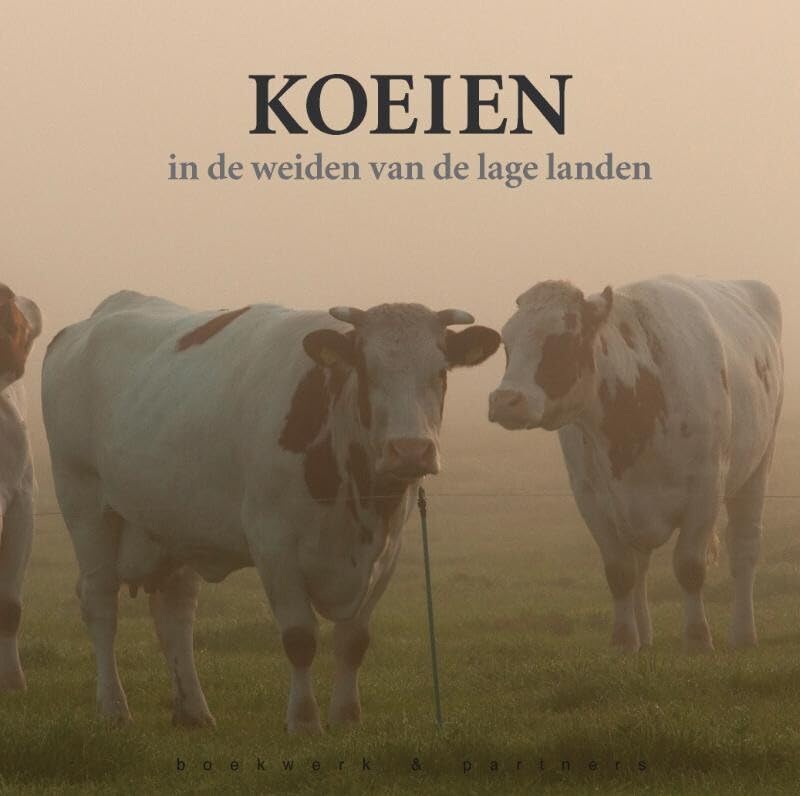 Koeien in de weiden van de lage landen book