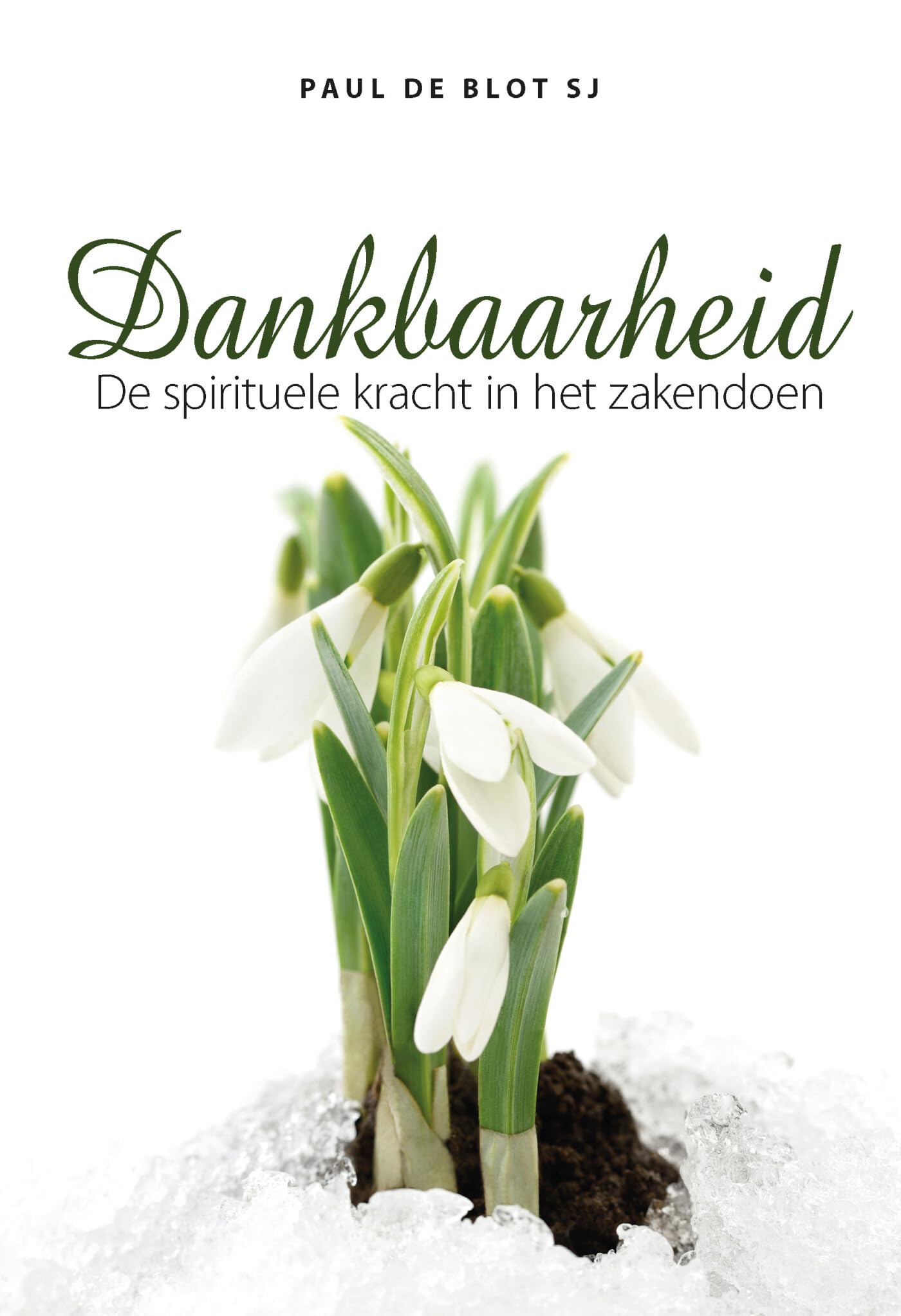 Dankbaarheid: De spirituele kracht van het zakendoen book