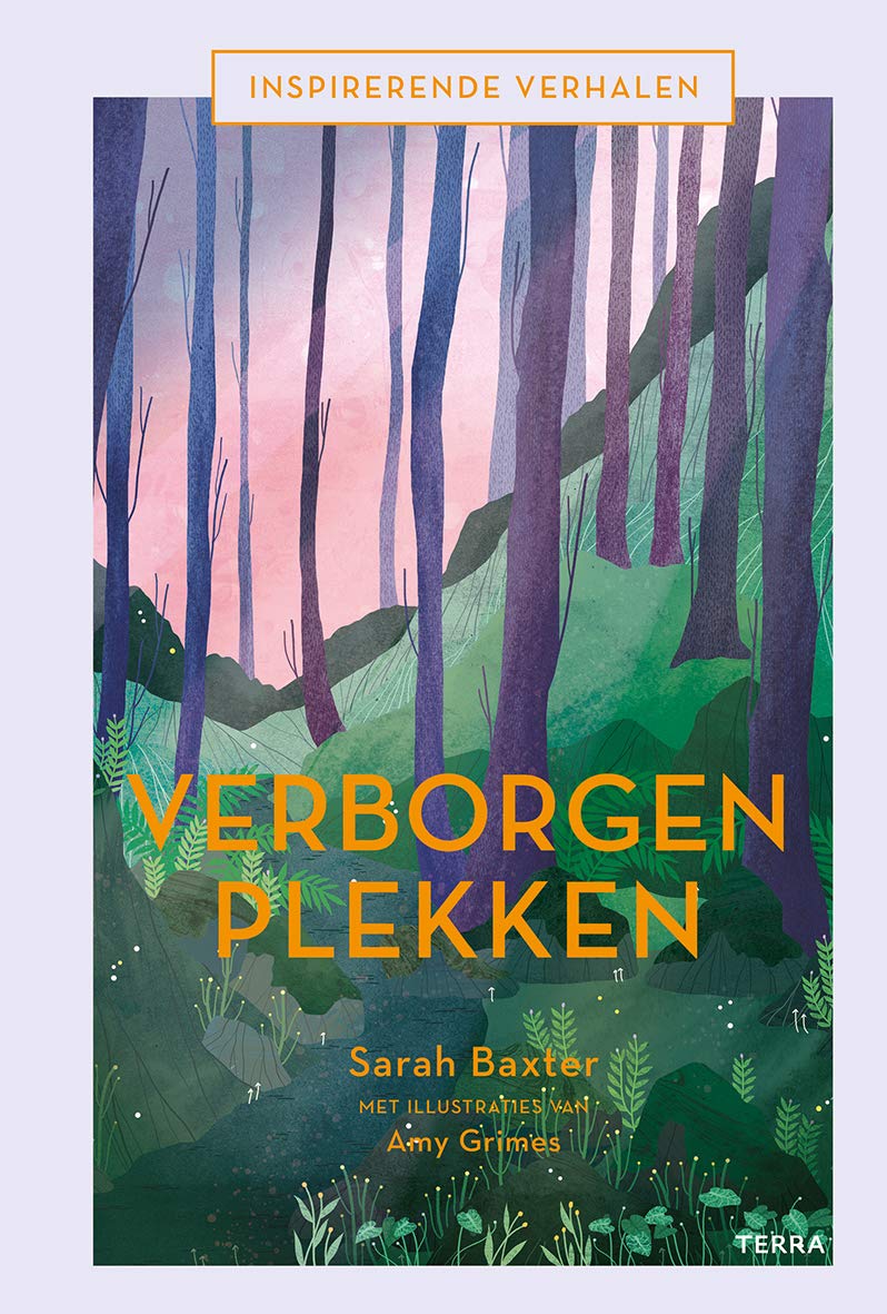 Inspirerende verhalen - Verborgen plekken book