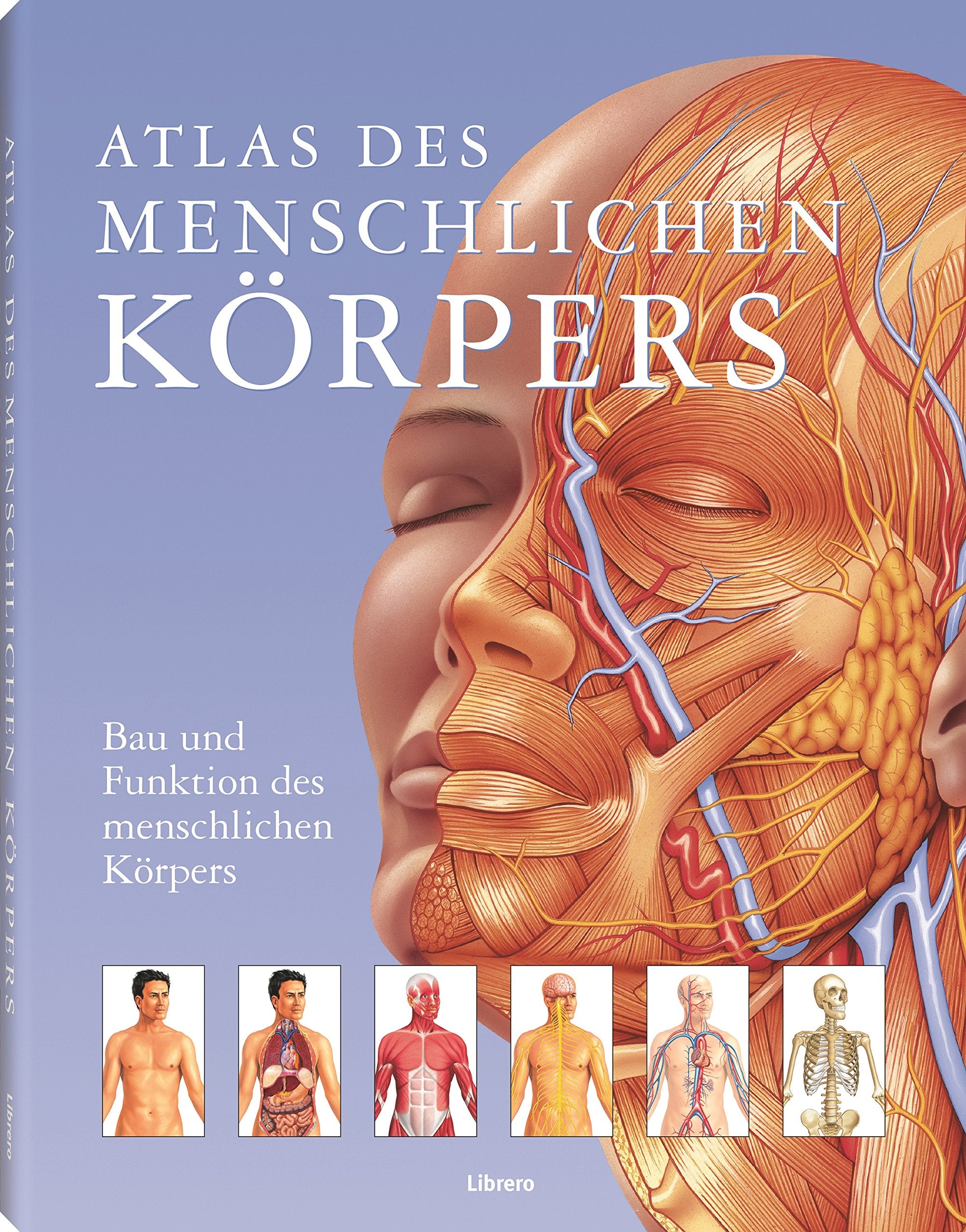 Atlas des menschlichen Körpers Learning & Reference