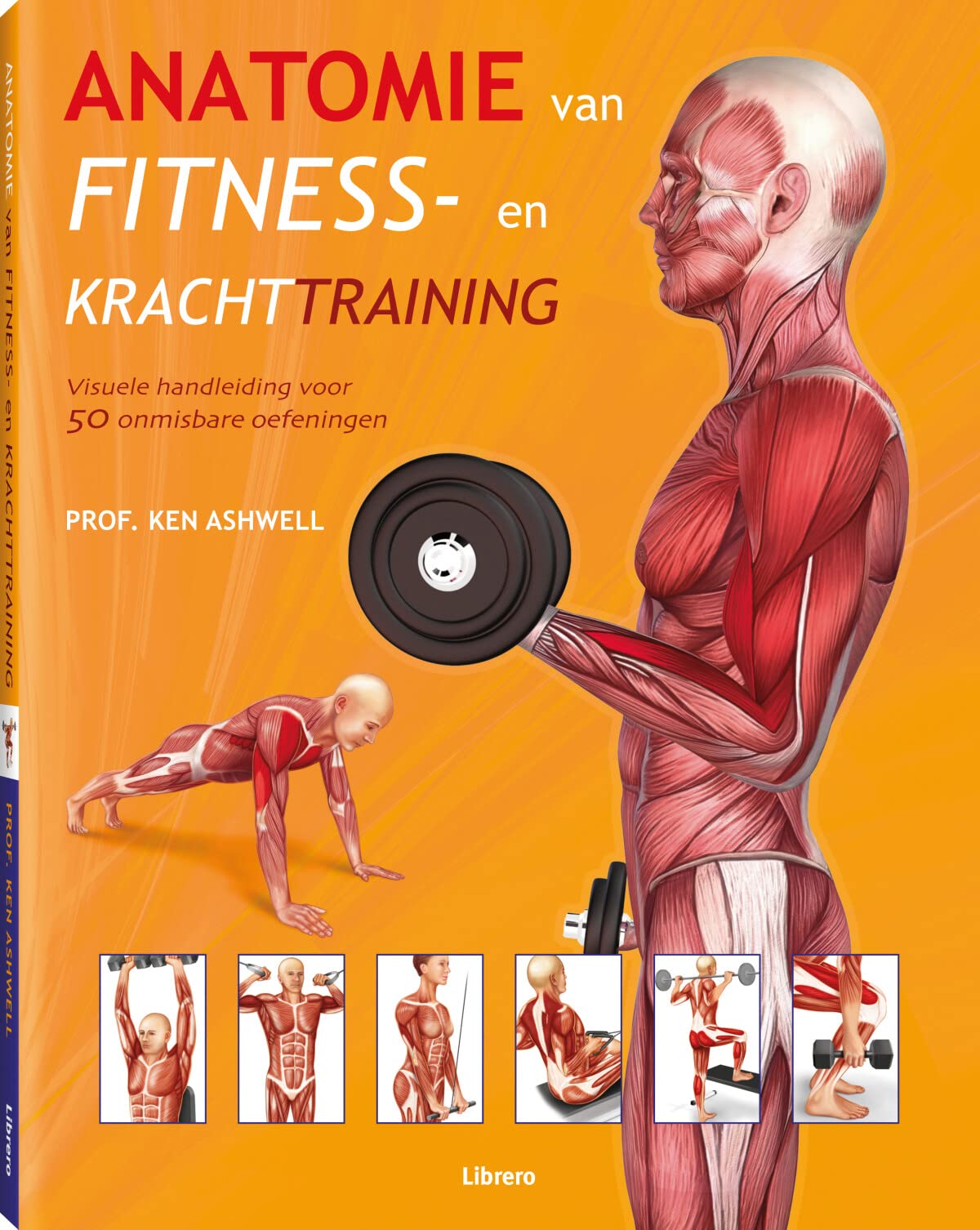 Anatomie van fitness- en krachttraining: visuele handleiding voor 50 onmisbare oefeningen book