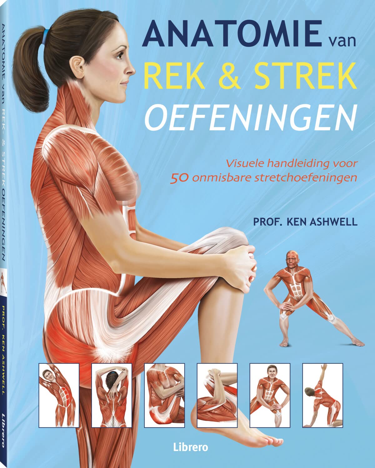 Anatomie van rek- en strekoefeningen: visuele handleiding voor 50 onmisbare stretchoefeningen Health, Nutrition & Fitness