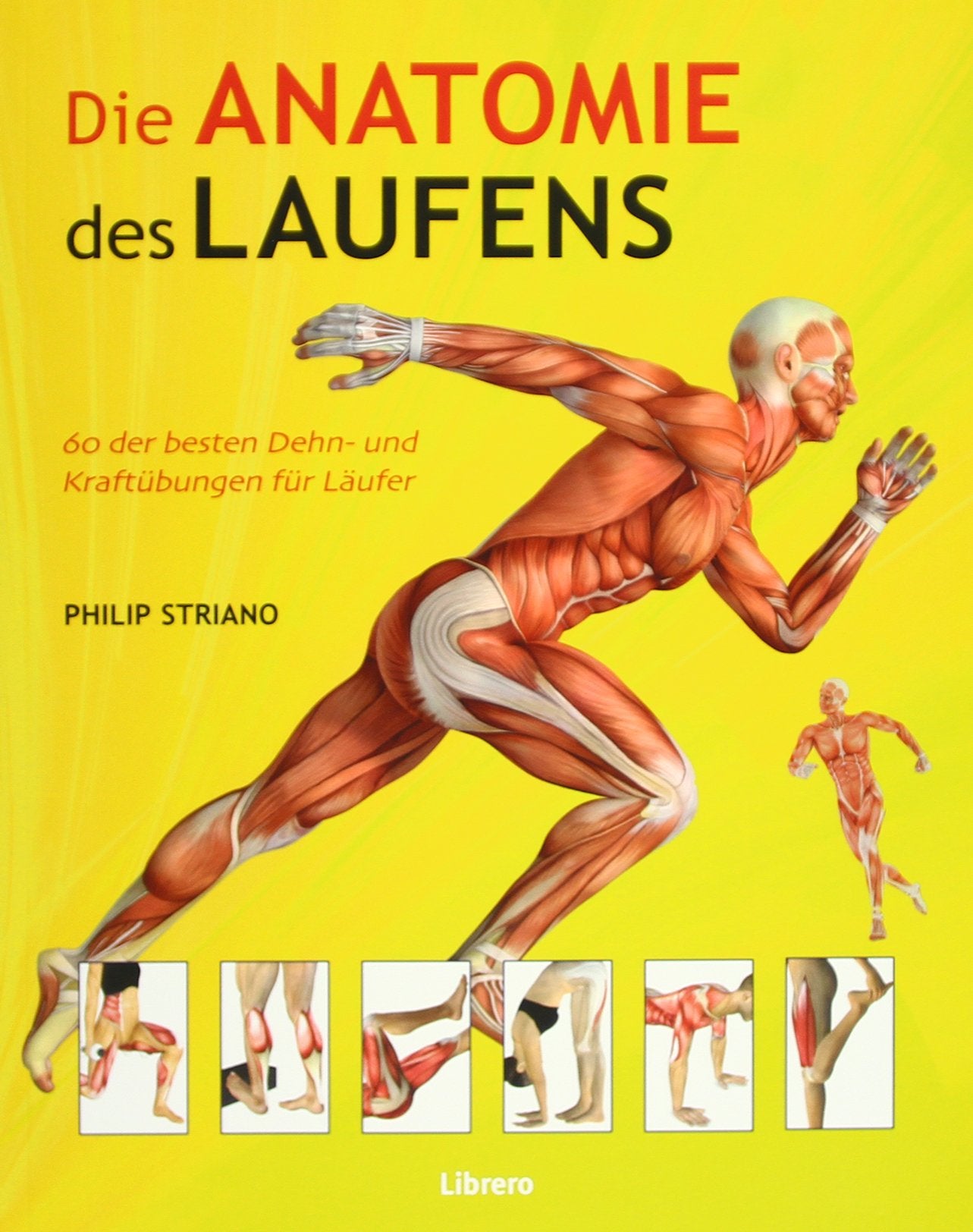 Die Anatomie des Laufens: Das Warming-up, Stretching und Cool-down Health, Nutrition & Fitness