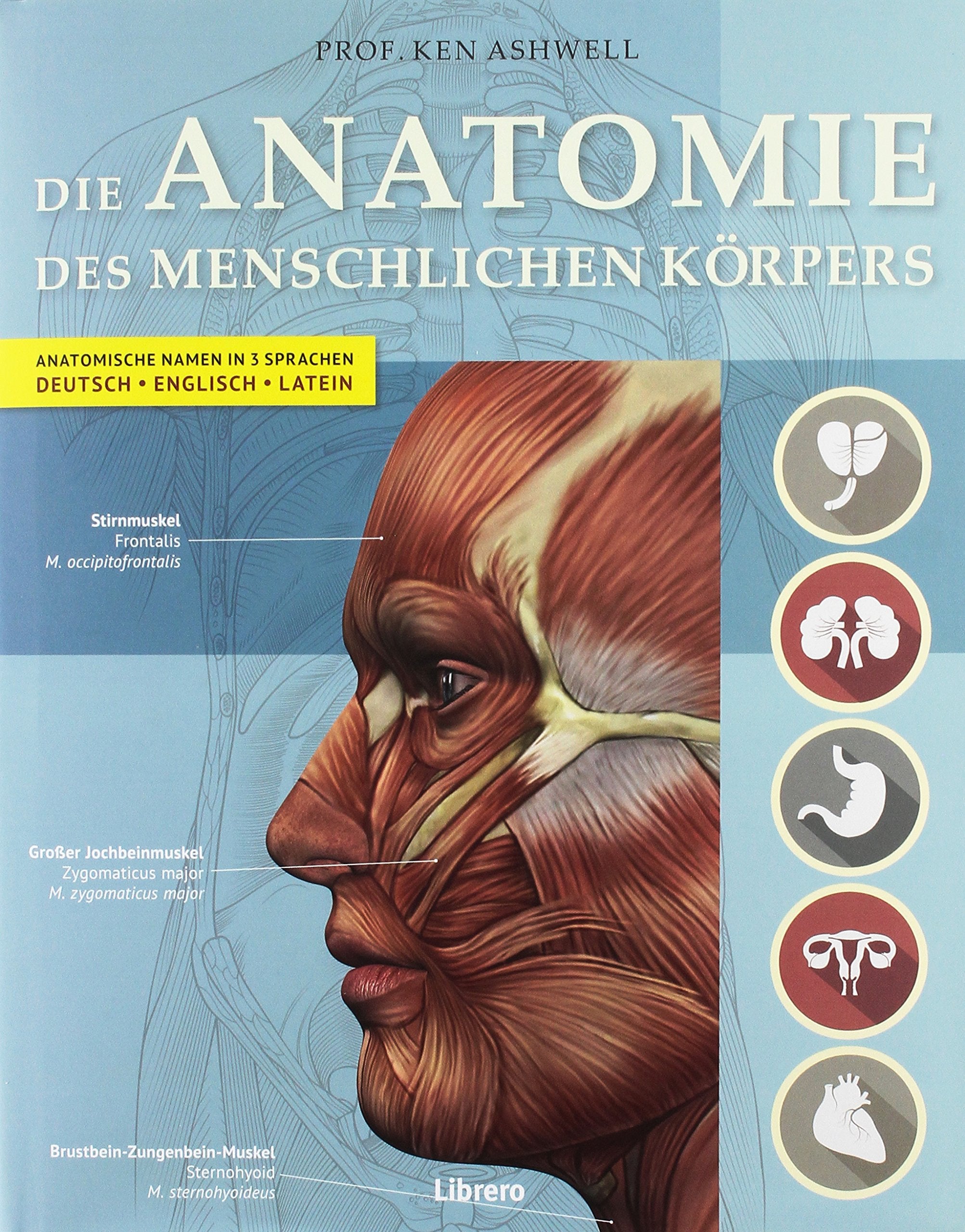 Der Menschliche Körper Medicine Books
