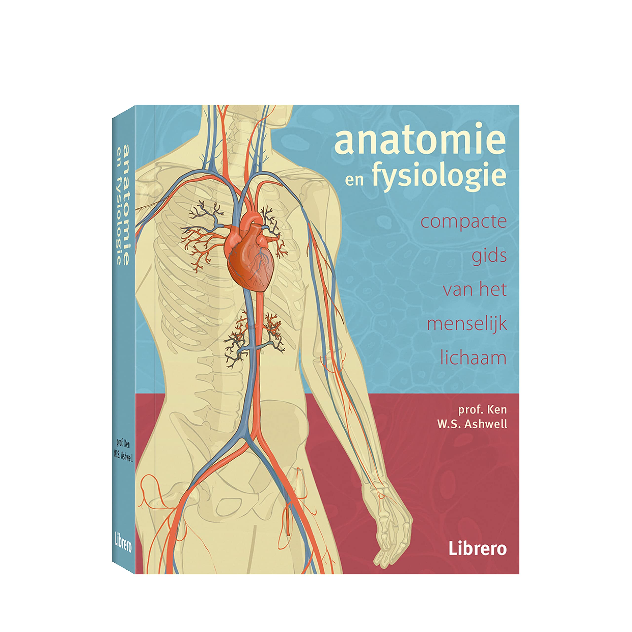 Anatomie en fysiologie: Compacte gids van het menselijk lichaam book