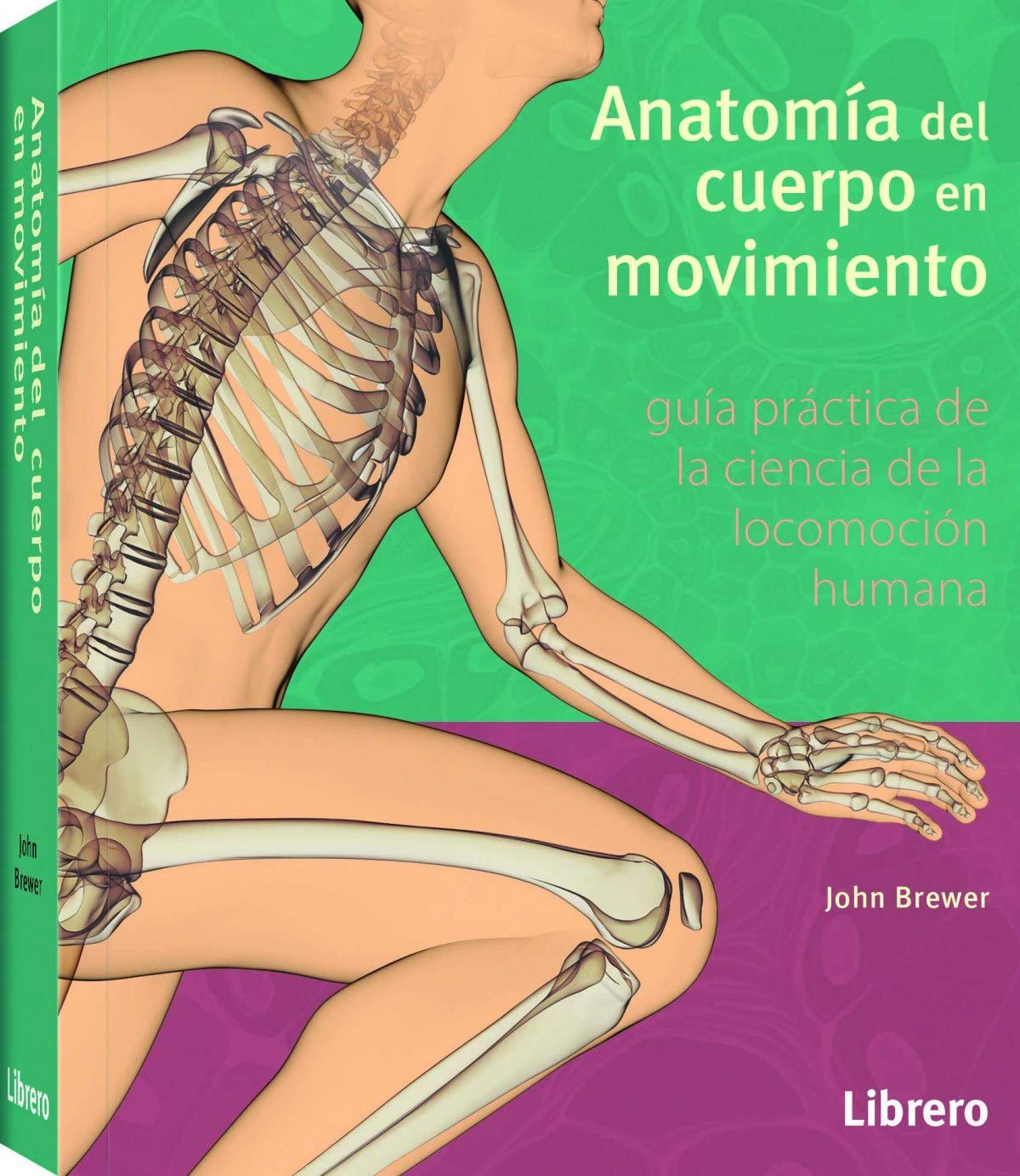 ANATOMIA DEL CUERPO EN MOVIMIENTO book