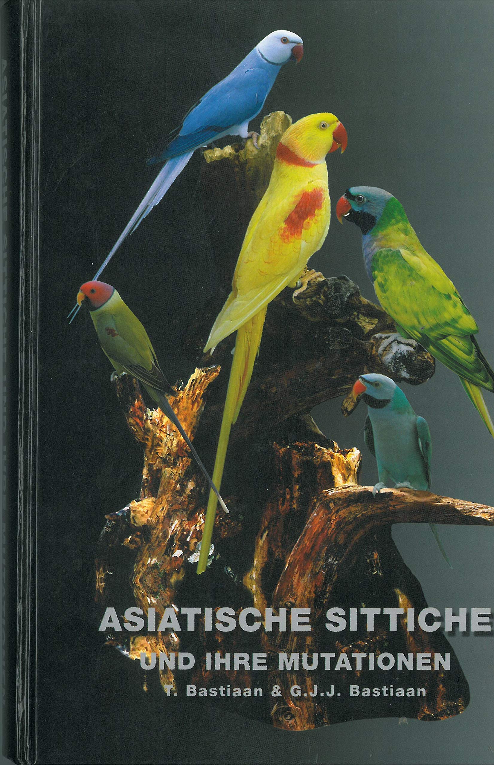 Asiatische Sittiche und ihre Mutationen Pets