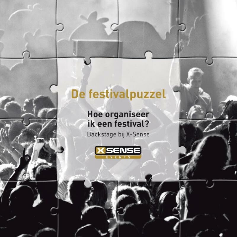 De festivalpuzzel: hoe organiseer ik een festival? Books