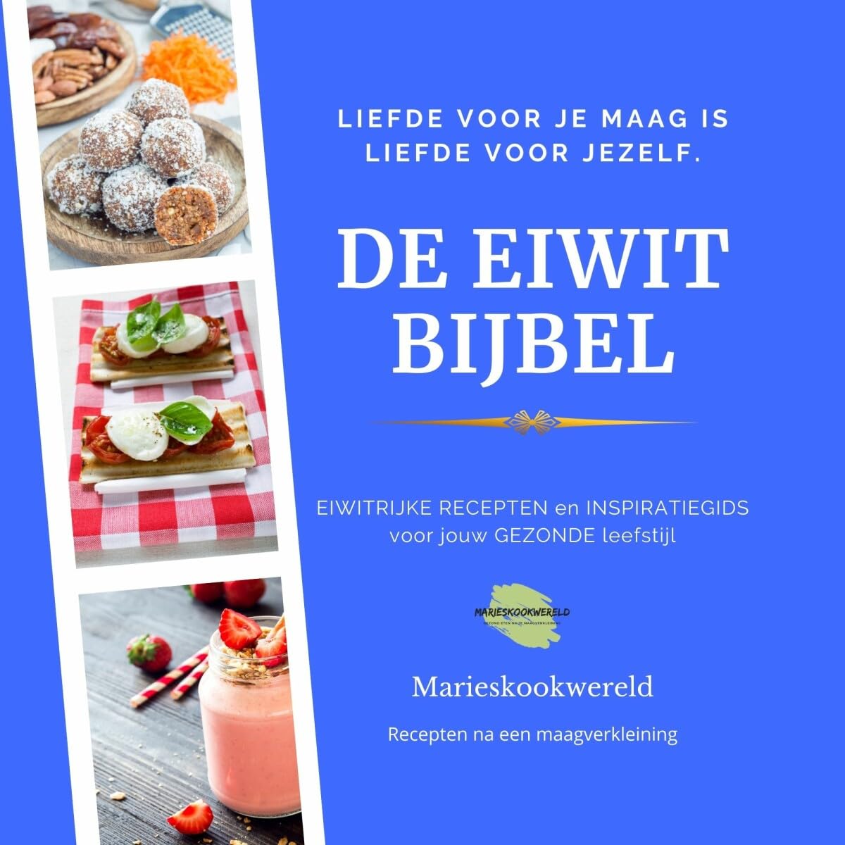 De Eiwitbijbel: recepten na een maagverkleining book