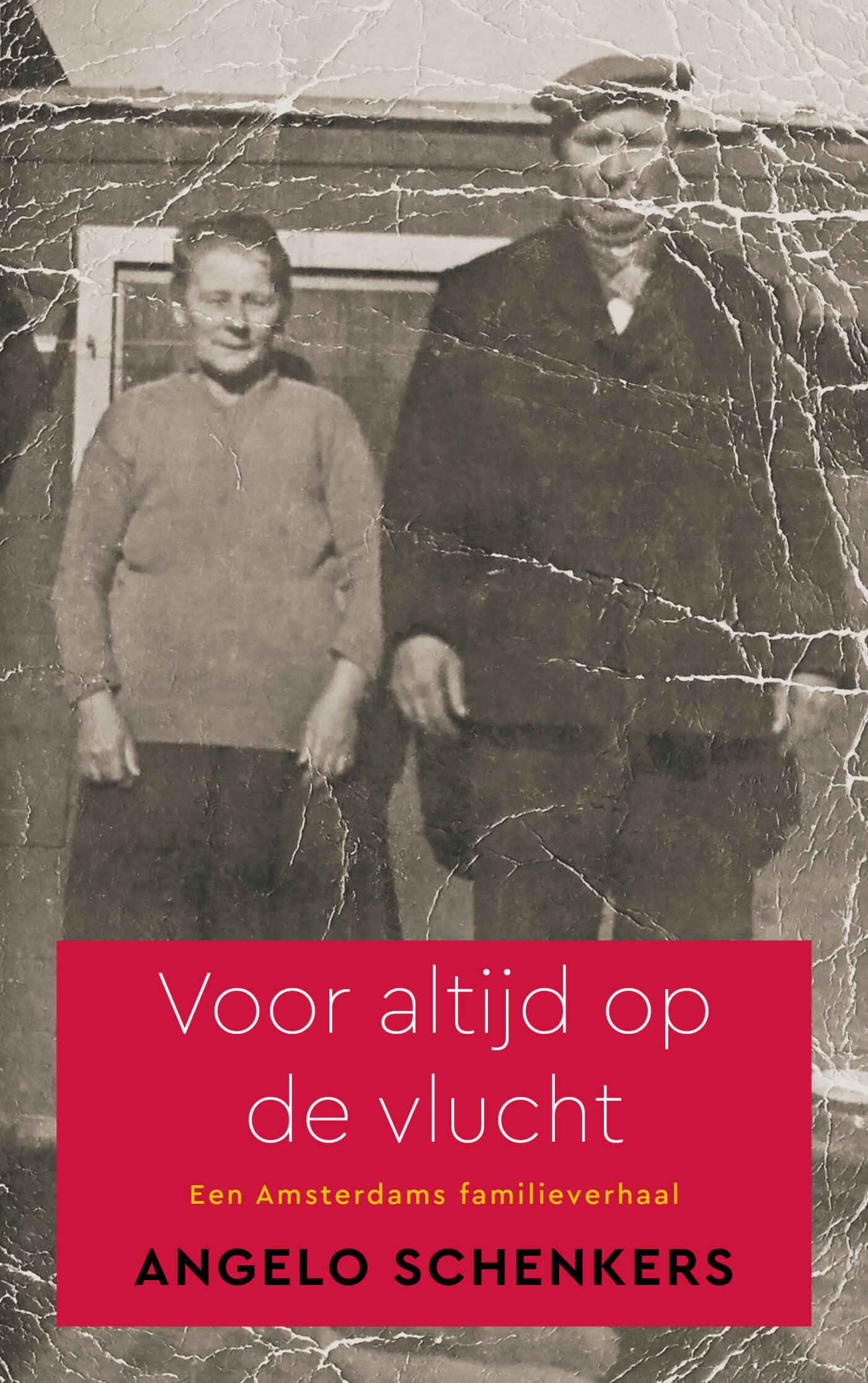 Voor altijd op de vlucht: Een Amsterdams familieverhaal book