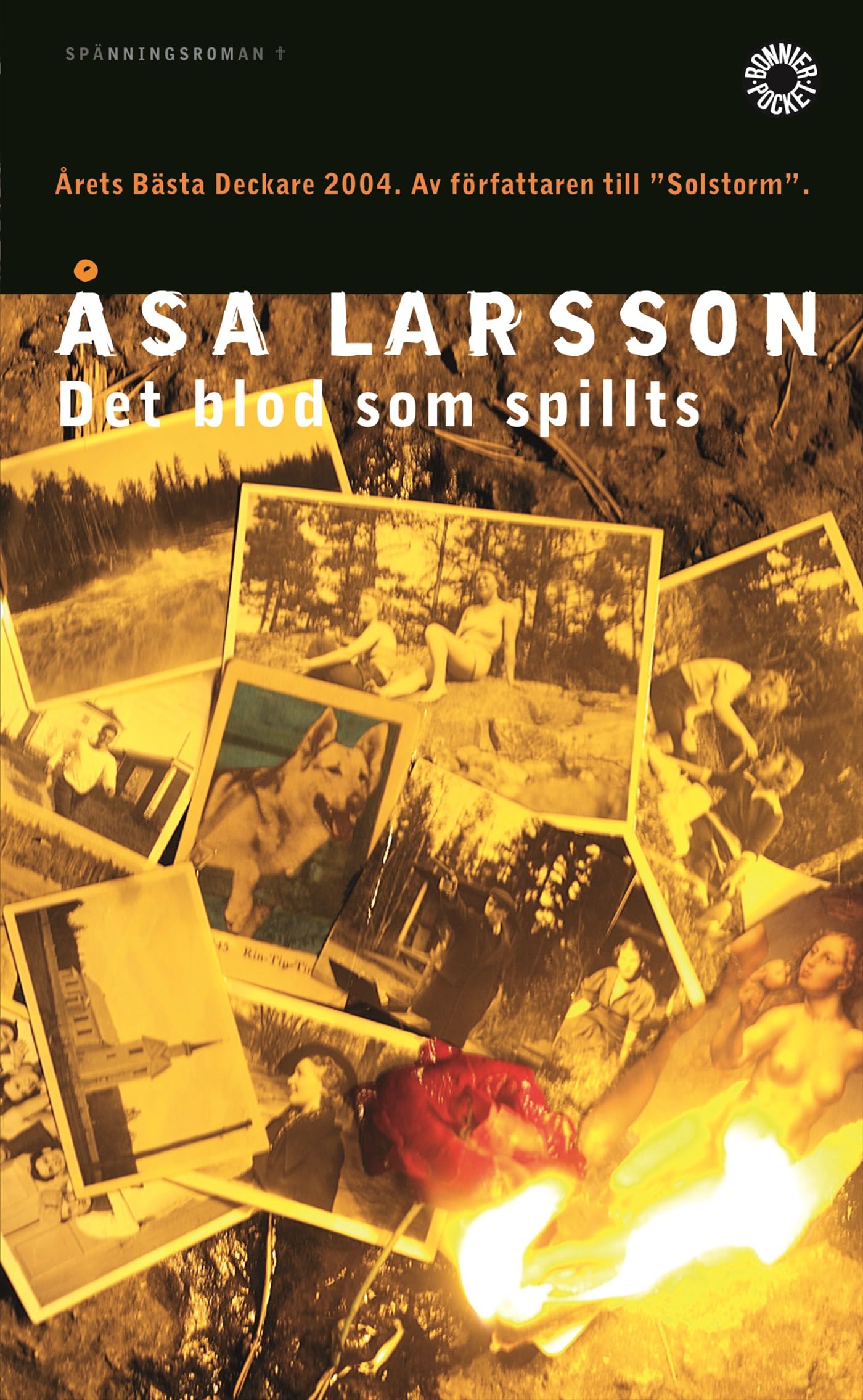 Det blod som spillts (Rebecka Martinsson, Band 2) Books