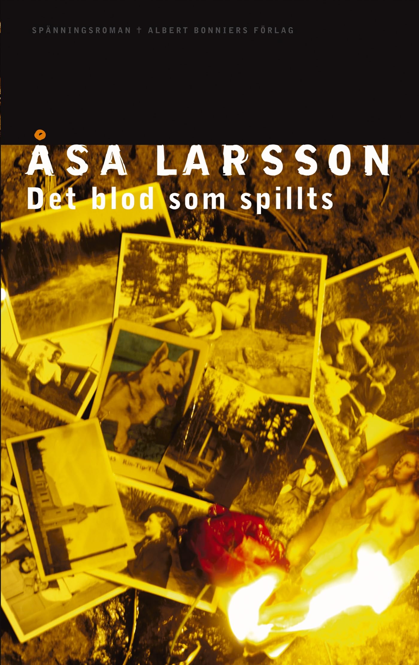 Det blod som spillts (Rebecka Martinsson, Band 2) Books
