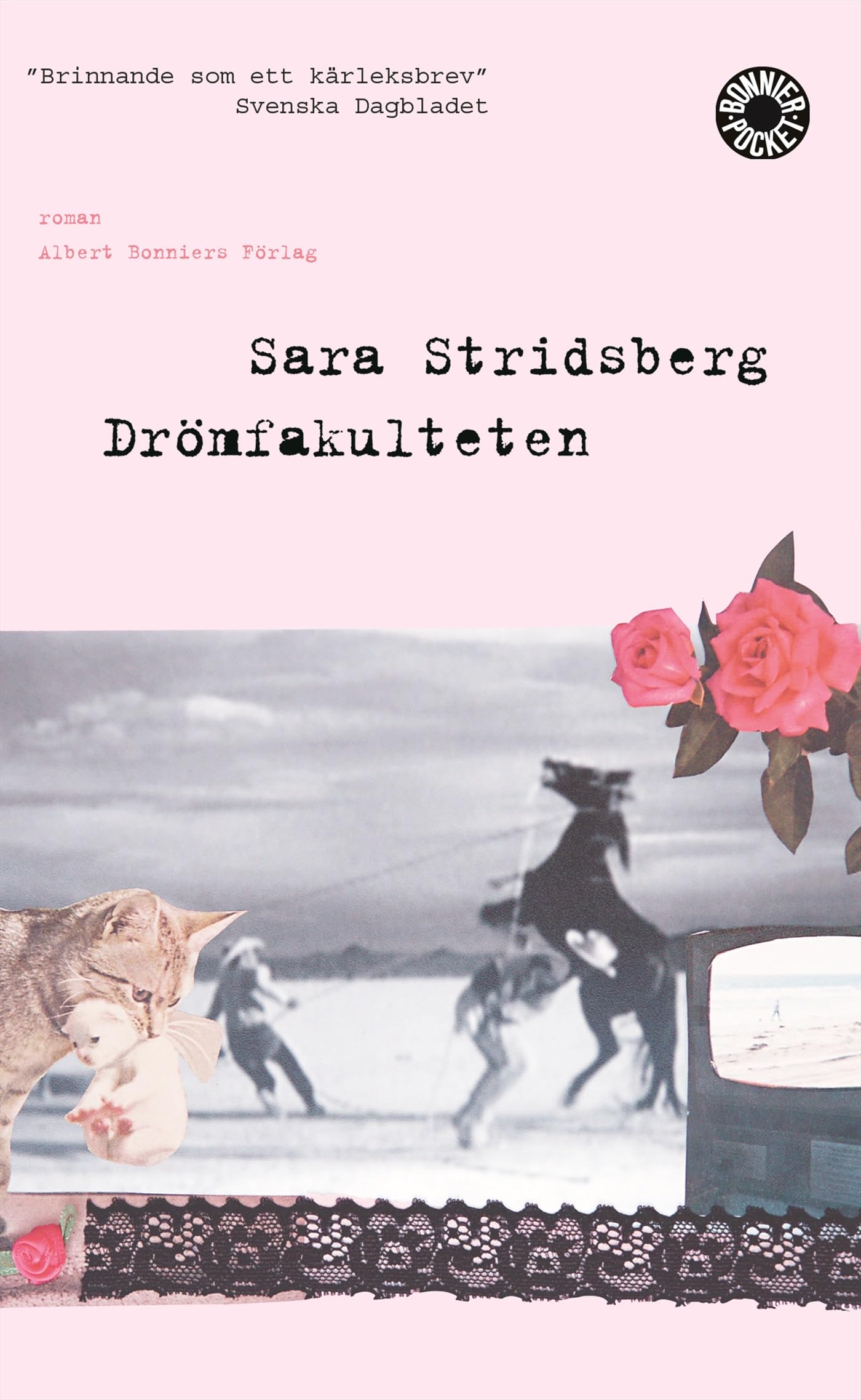 Drömfakulteten : tillägg till sexualteorin Contemporary literature