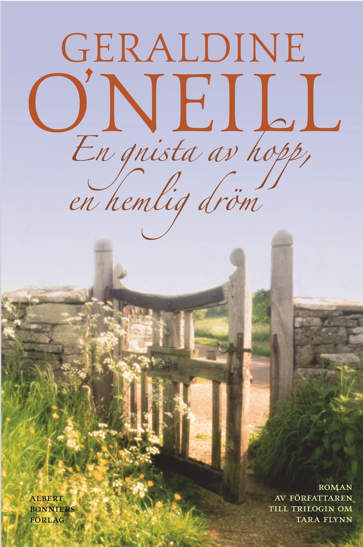 En gnista av hopp, en hemlig dröm Books