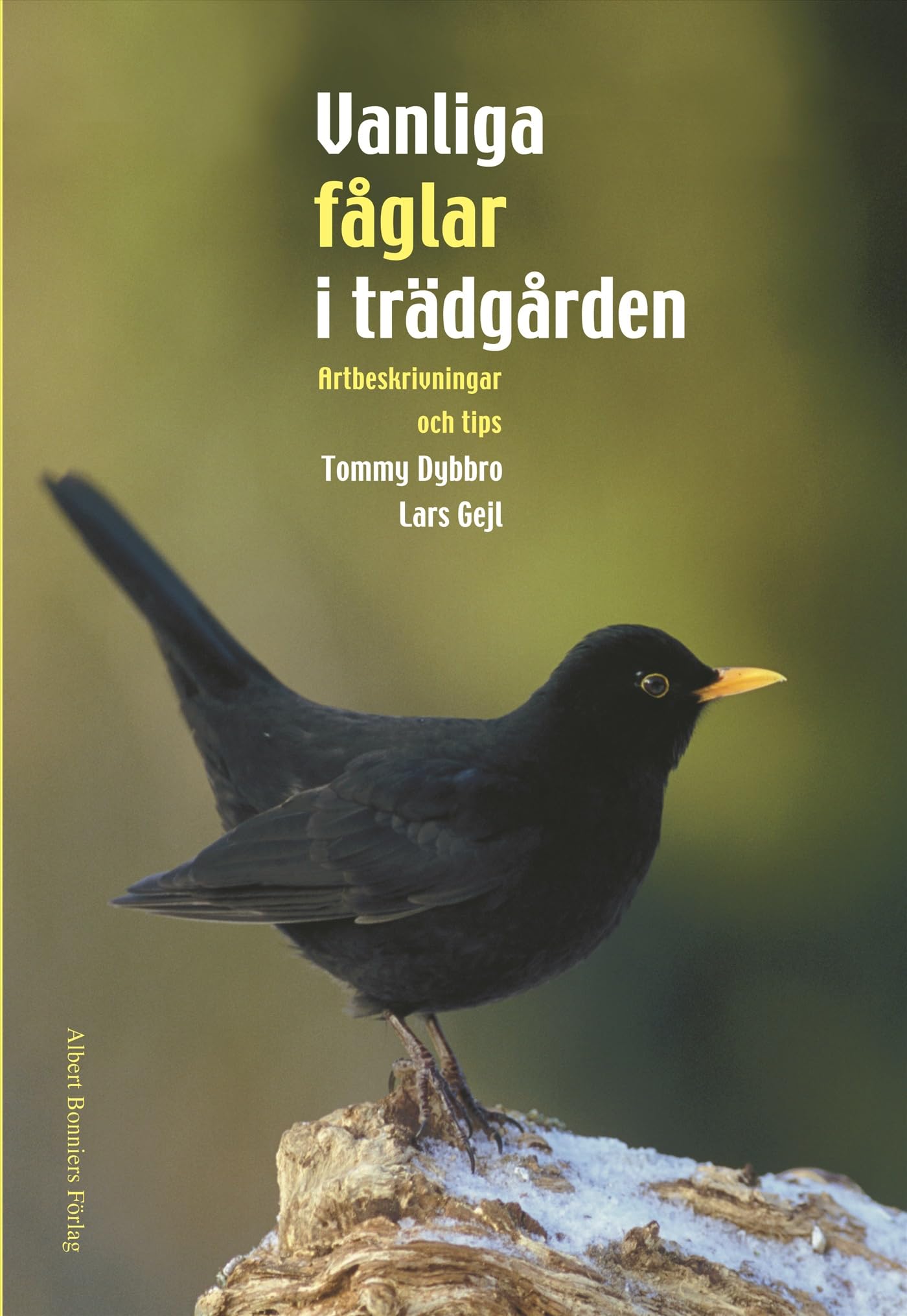 Vanliga fåglar i trädgården Books