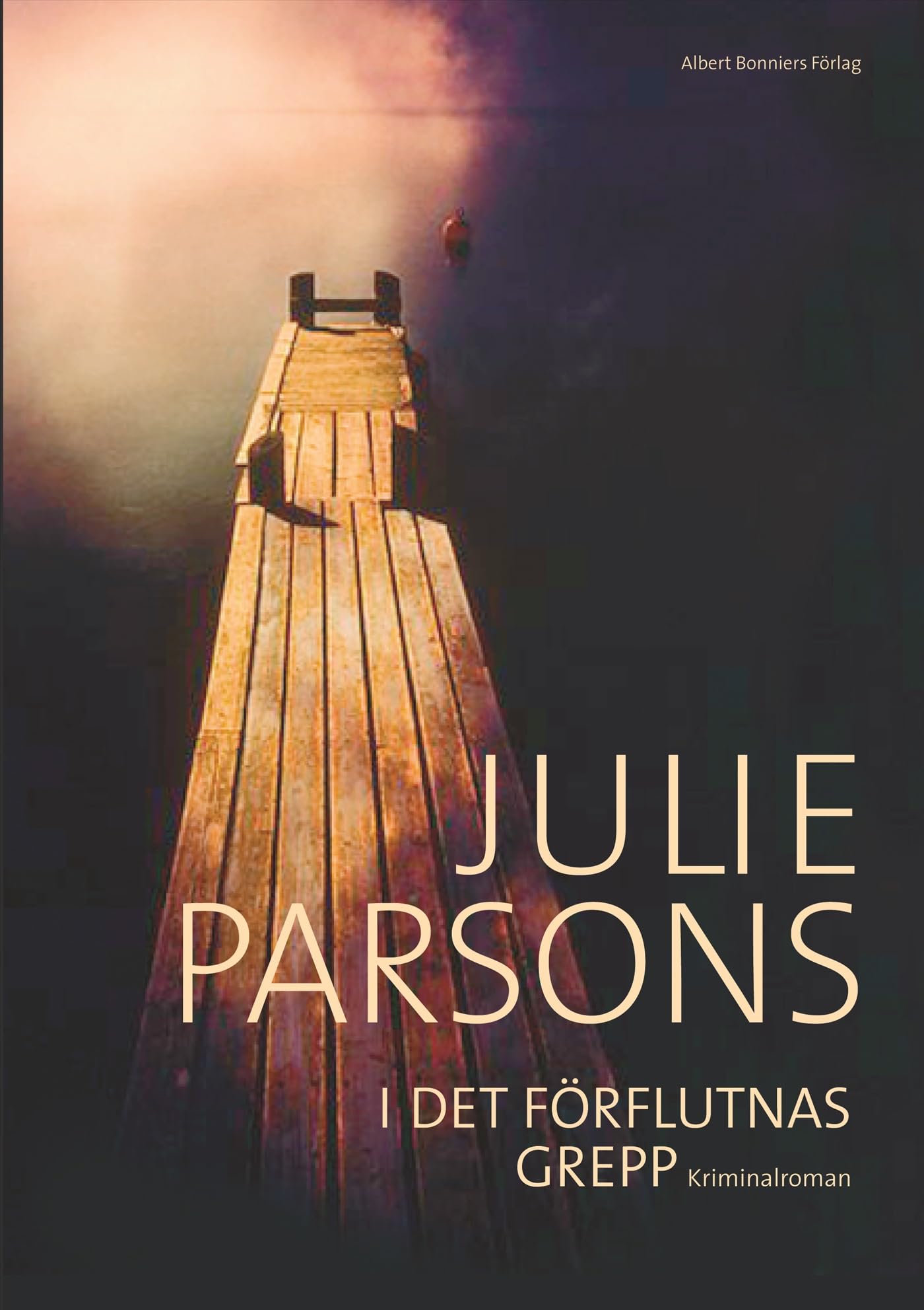 I det förflutnas grepp Books