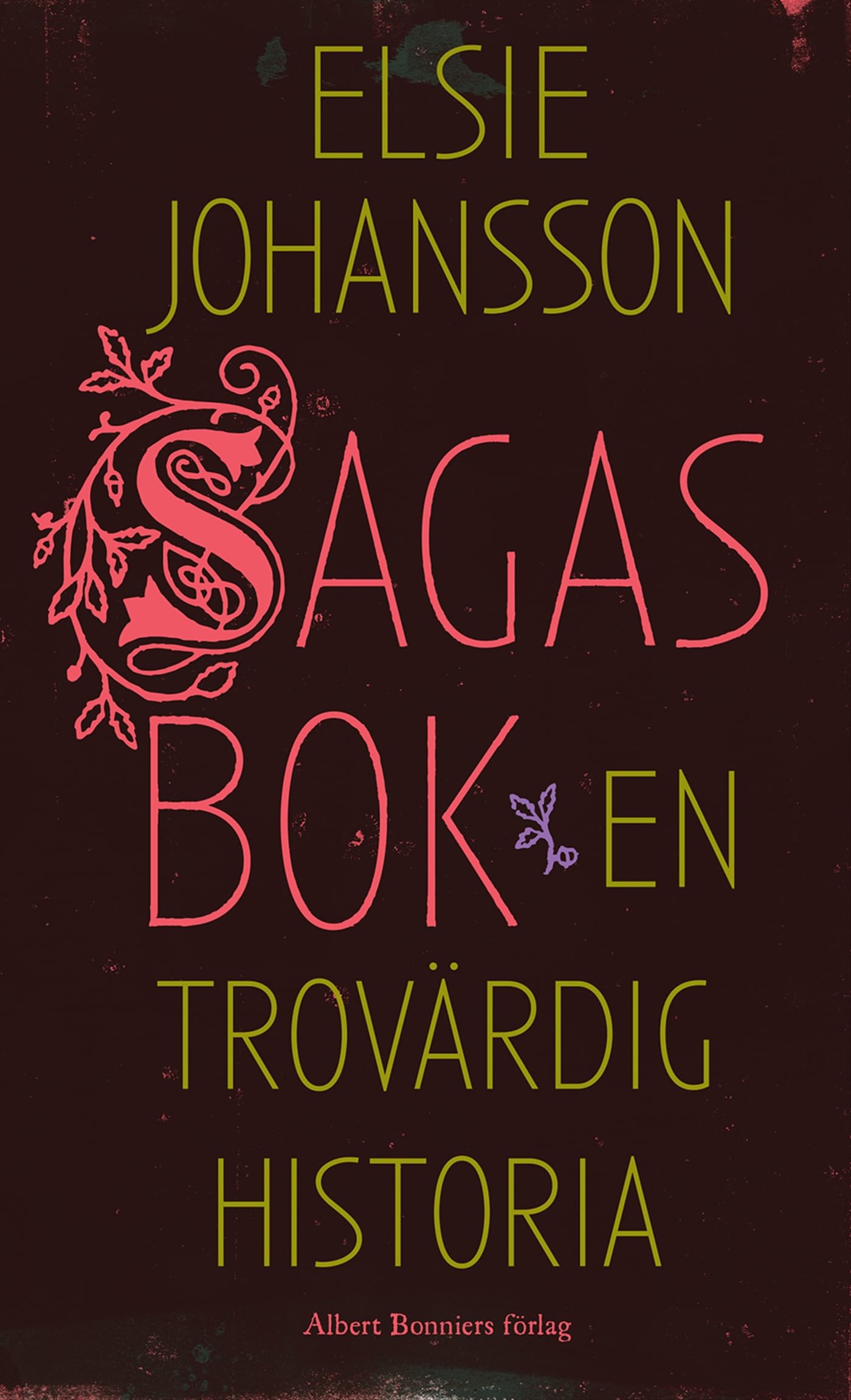Sagas bok : en trovärdig historia book