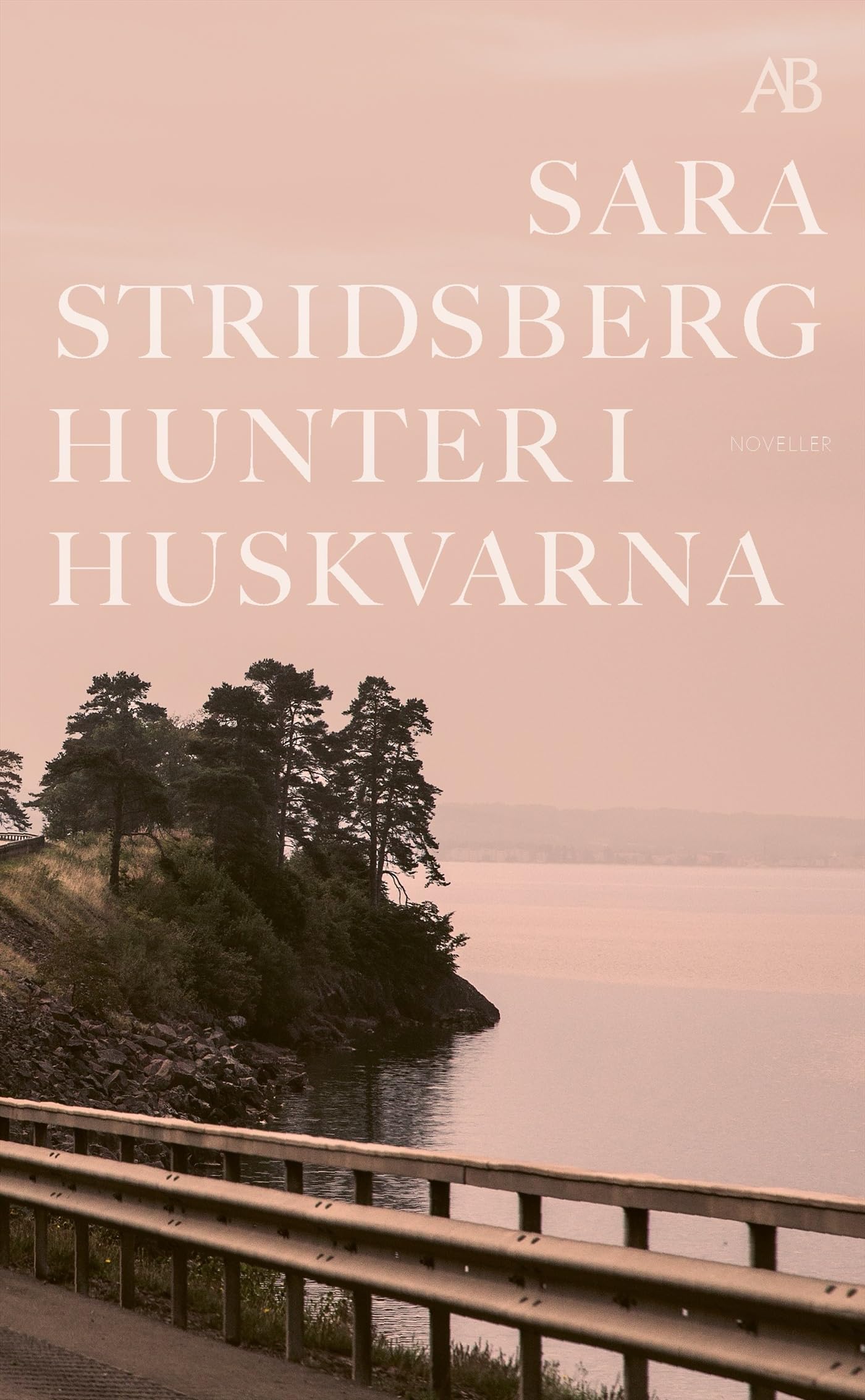 Hunter i Huskvarna Books