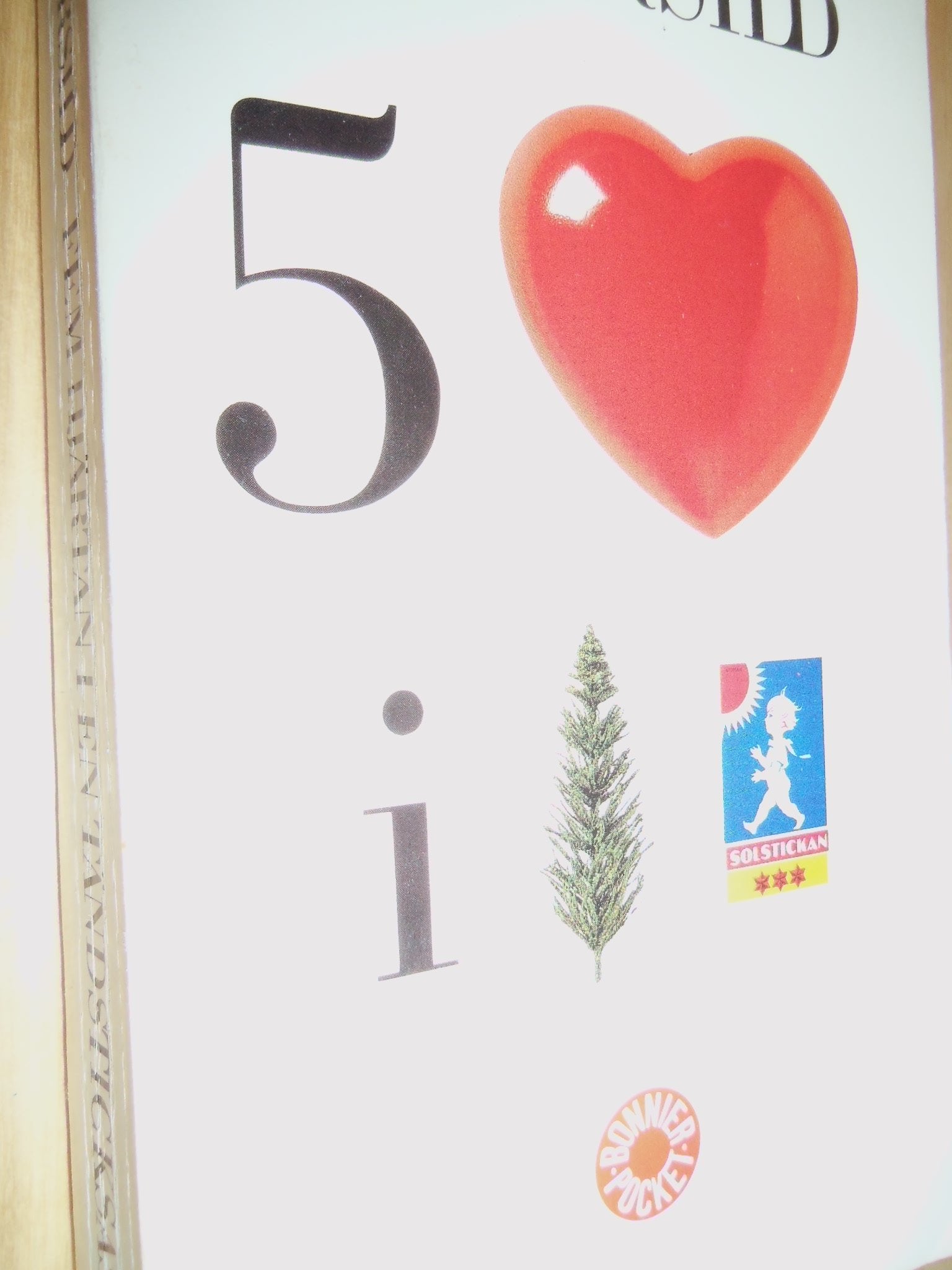 Fem hjärtan i en tändsticksask: Sedeskildring book