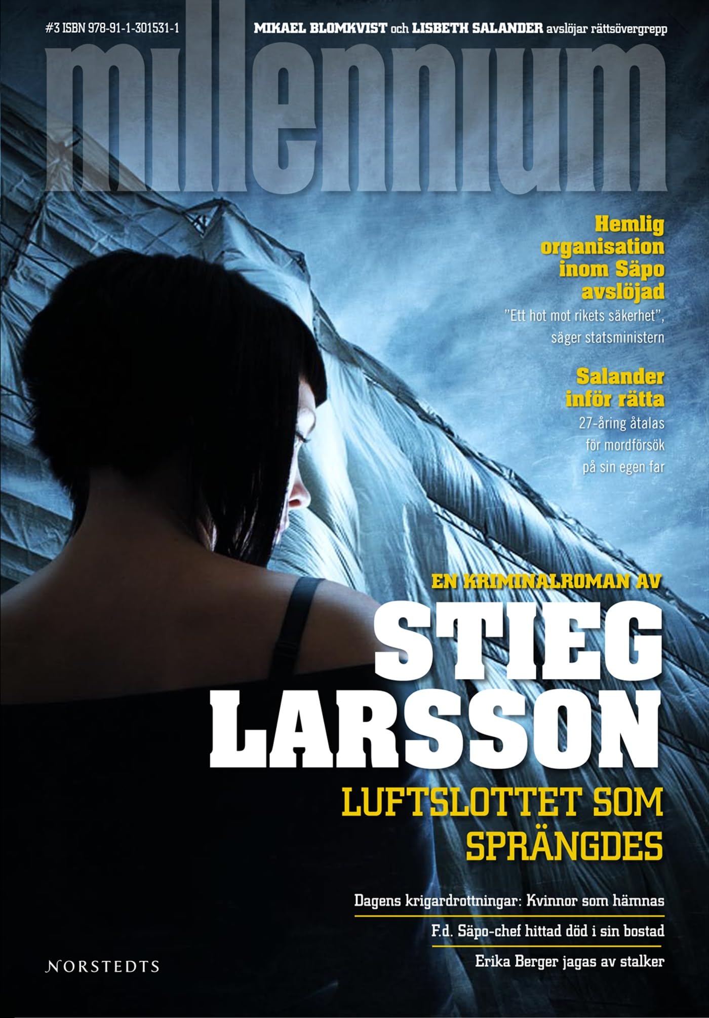 Luftslottet som sprängdes (Millennium, Band 3) Contemporary literature