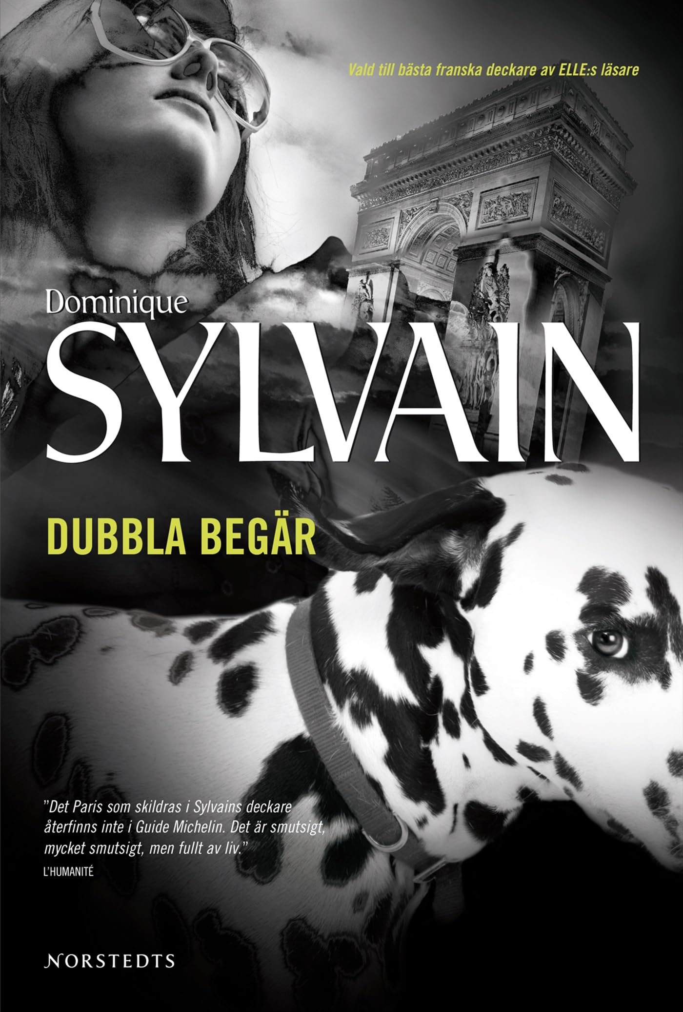 Dubbla begär (Lola Jost och Ingrid Diesel) Contemporary literature