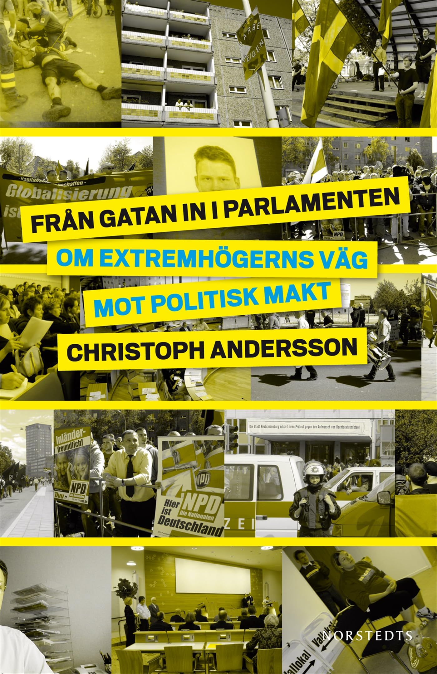 Från gatan in i parlamenten : om extremhögerns väg mot politisk makt Books