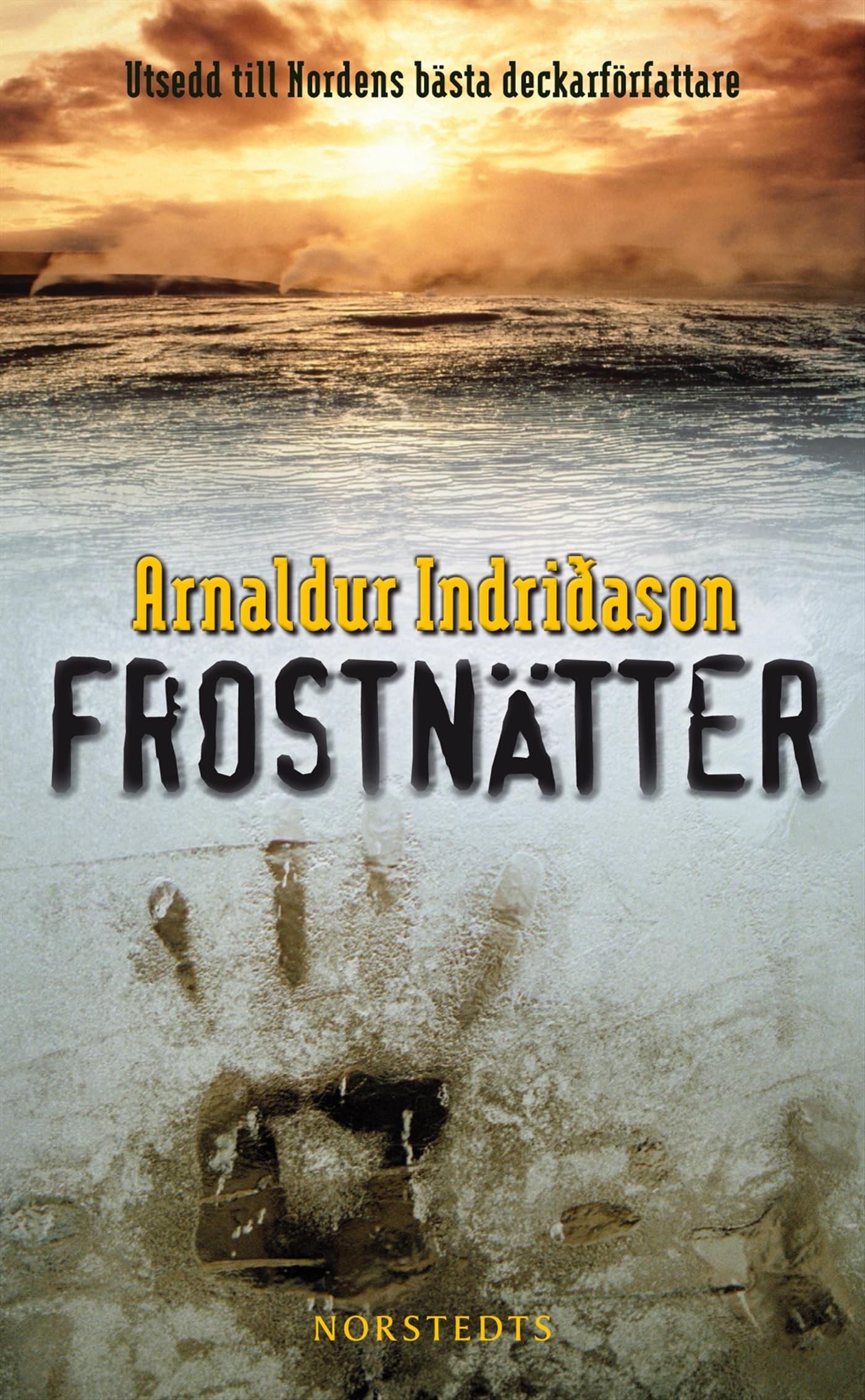 Frostnätter (Erlendur Sveinsson, Band 6) Contemporary literature
